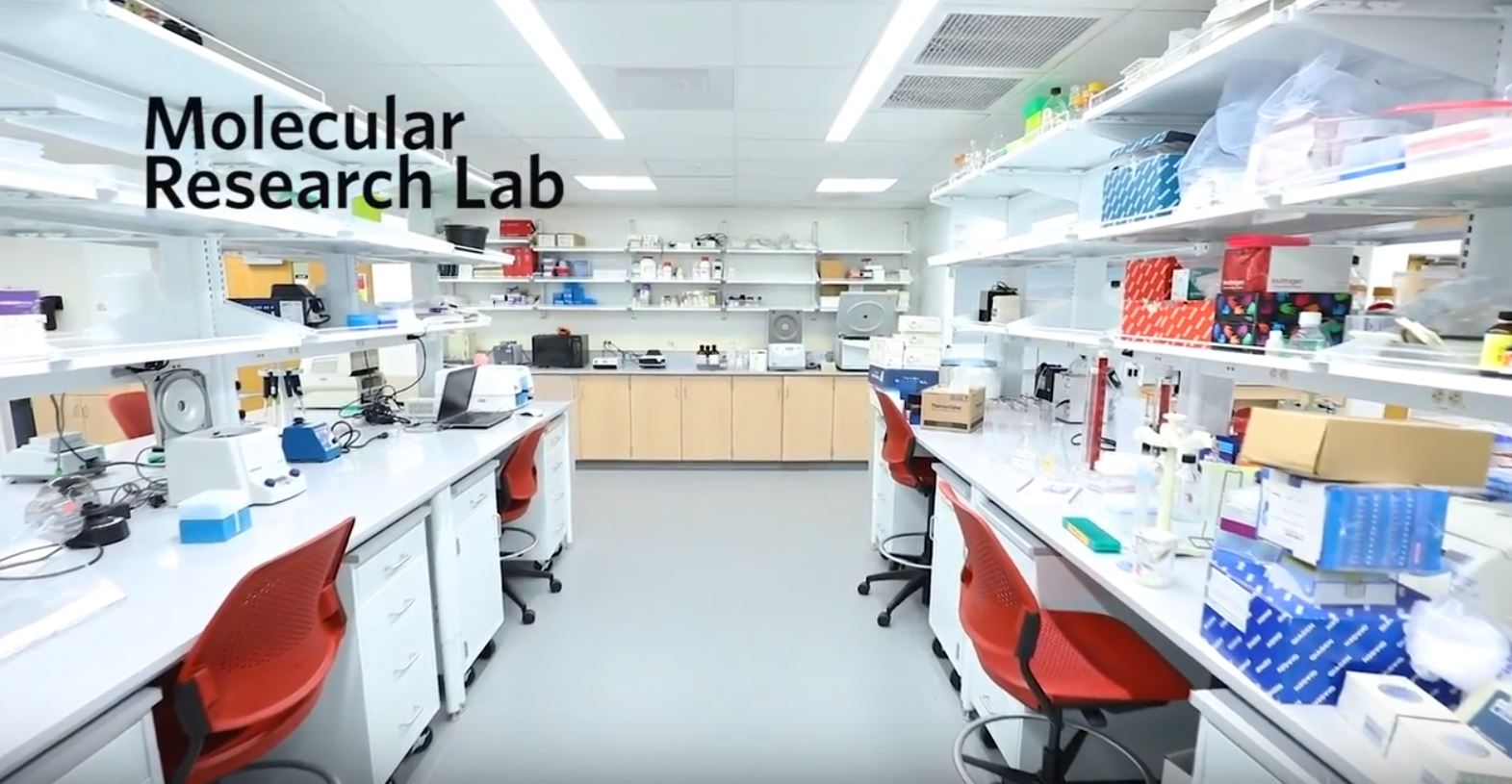 Research lab.JPG