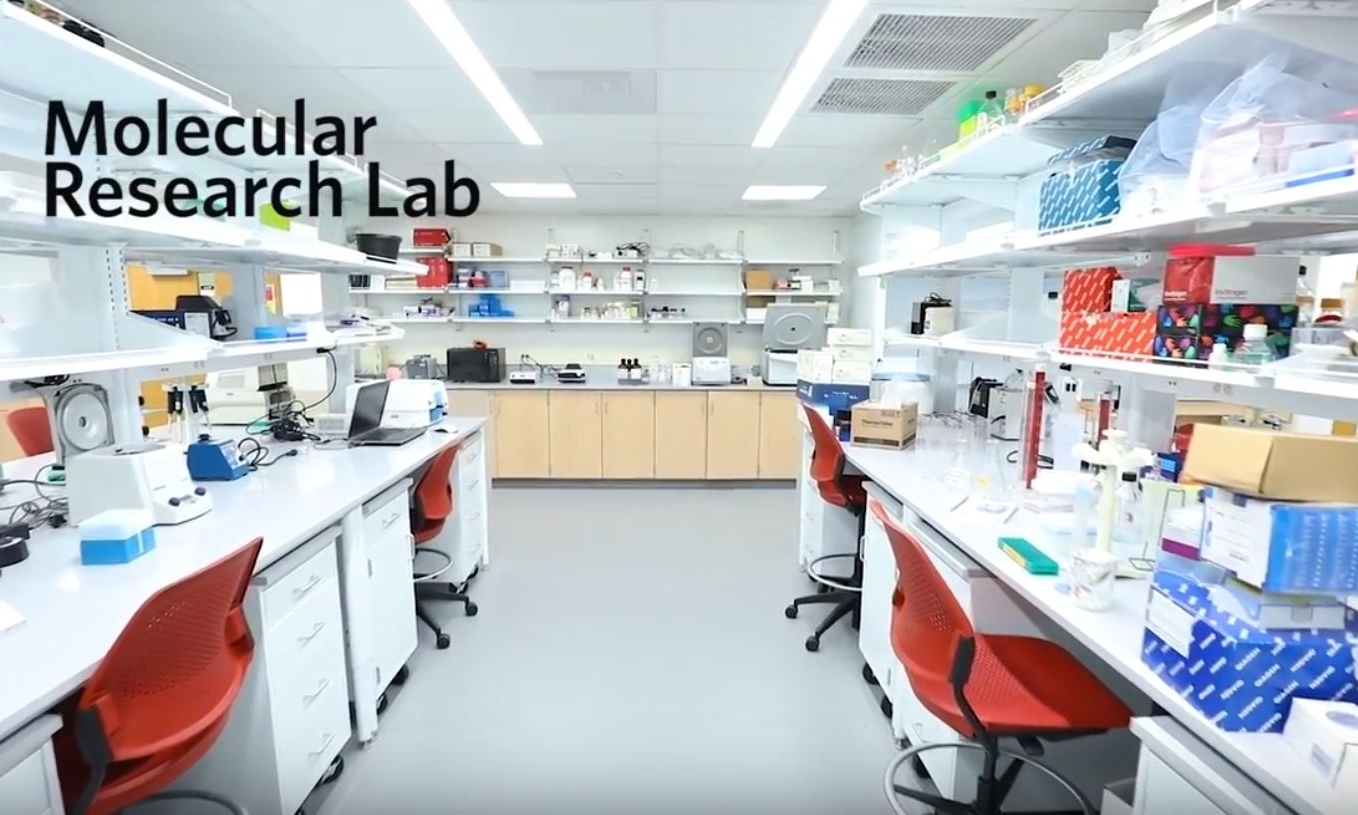 Research lab.JPG