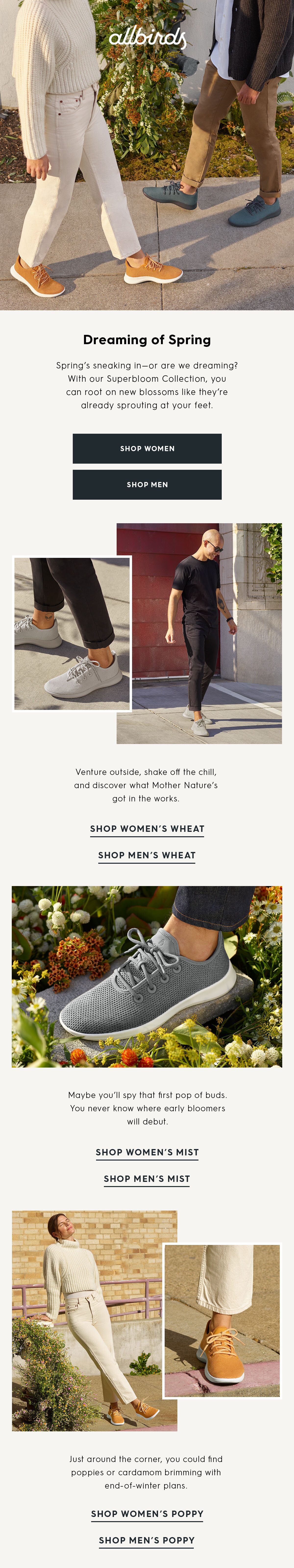 allbirds email