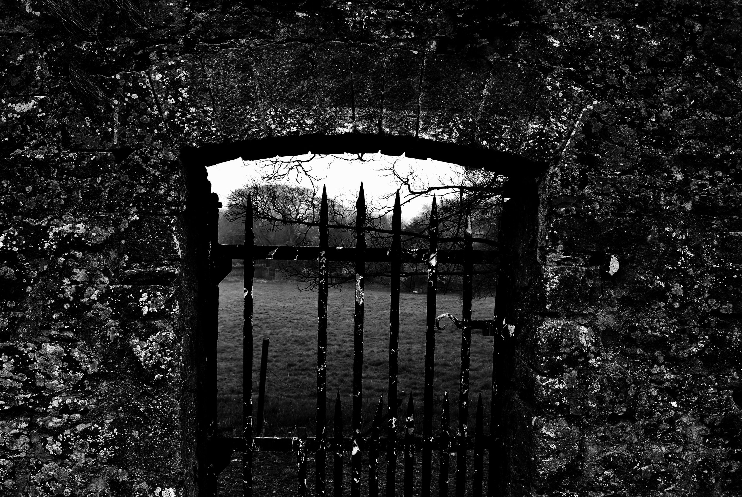 tree-rock-leaf-window-wall-stone-green-autumn-scenery-gate-ruins-ireland-county-613127.jpg