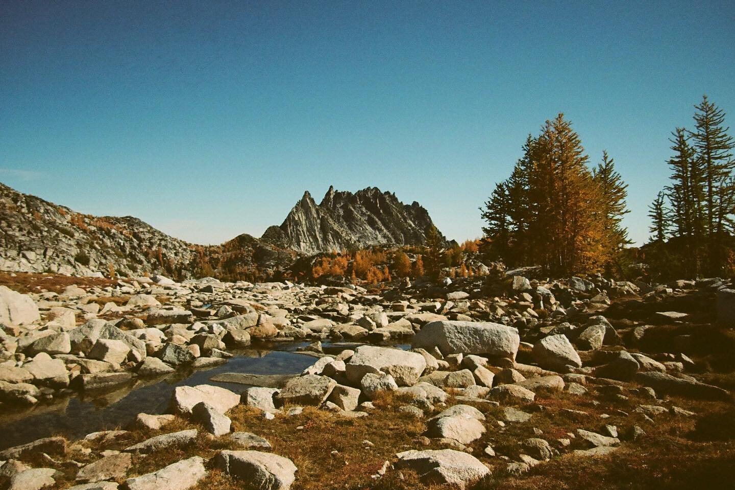 A most magical and painful day. 

#getoutside #hike #filmisnotdead #onfilm #upperleftusa #film #pnwwonderland #porta #enchantments 
#analogphotography #35mmphotography#kodak #cascademountains #nikonF6 
#filmphotography #thedarkroomlab #35mmfilm  #pnw