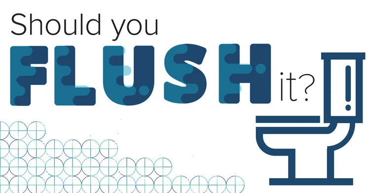 shouldyouflushit-previewimage.jpg