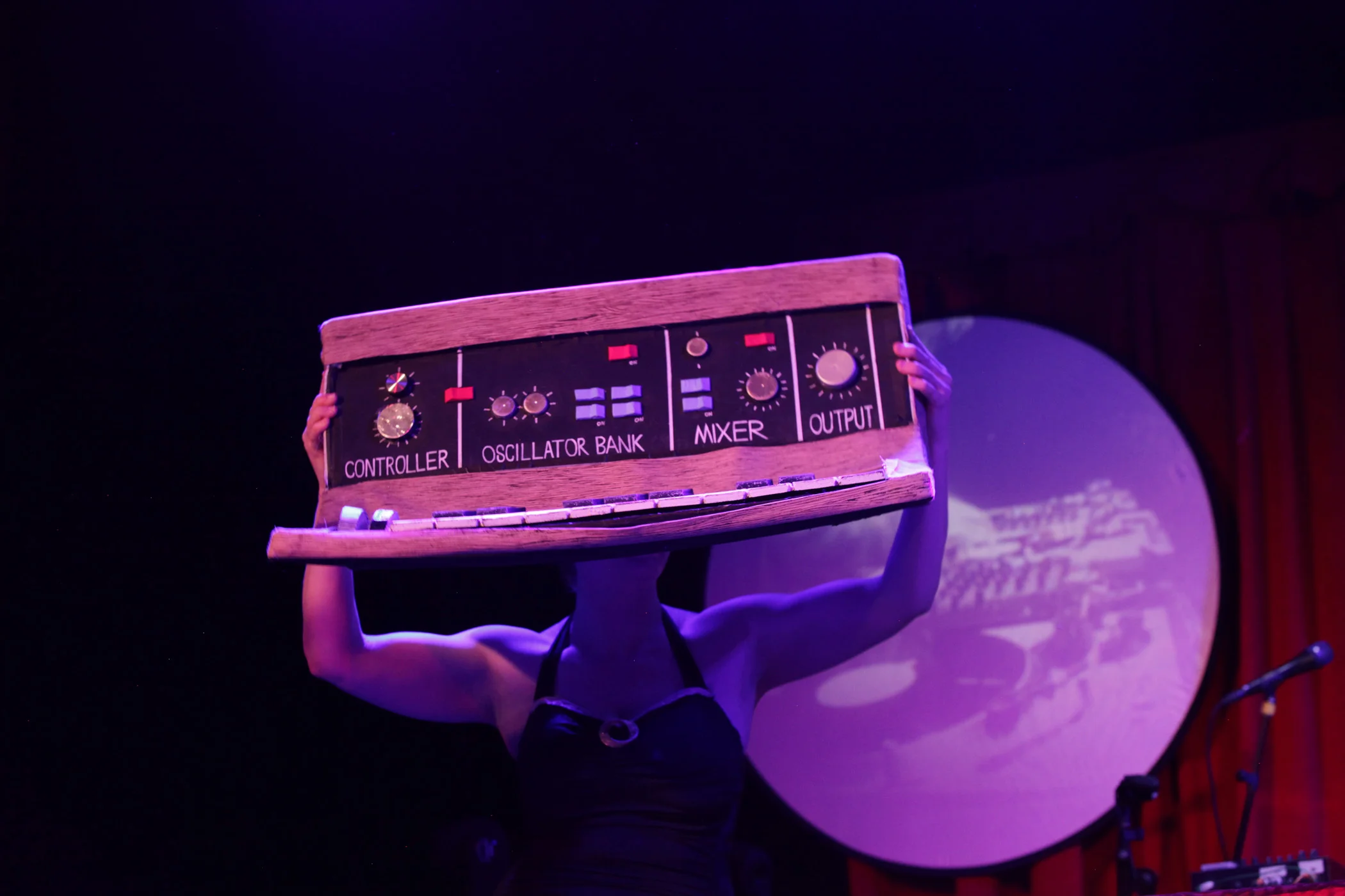 Vinyl Vaudeville by Lindsay Hagblom