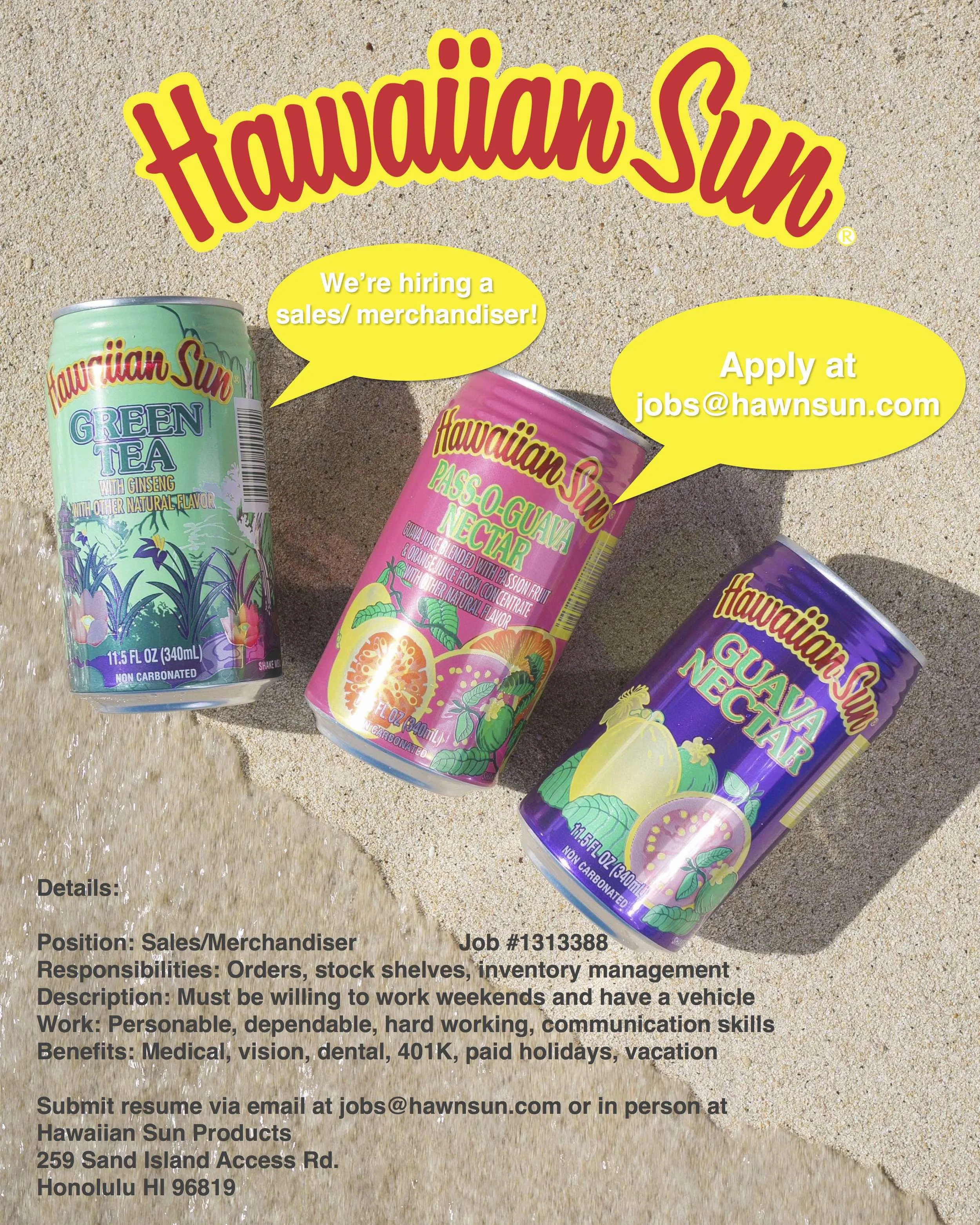 HS FLYER SALES:MERCHANDISER.jpg