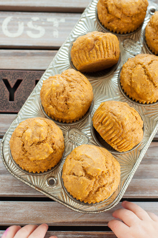 Pumpkin Muffins