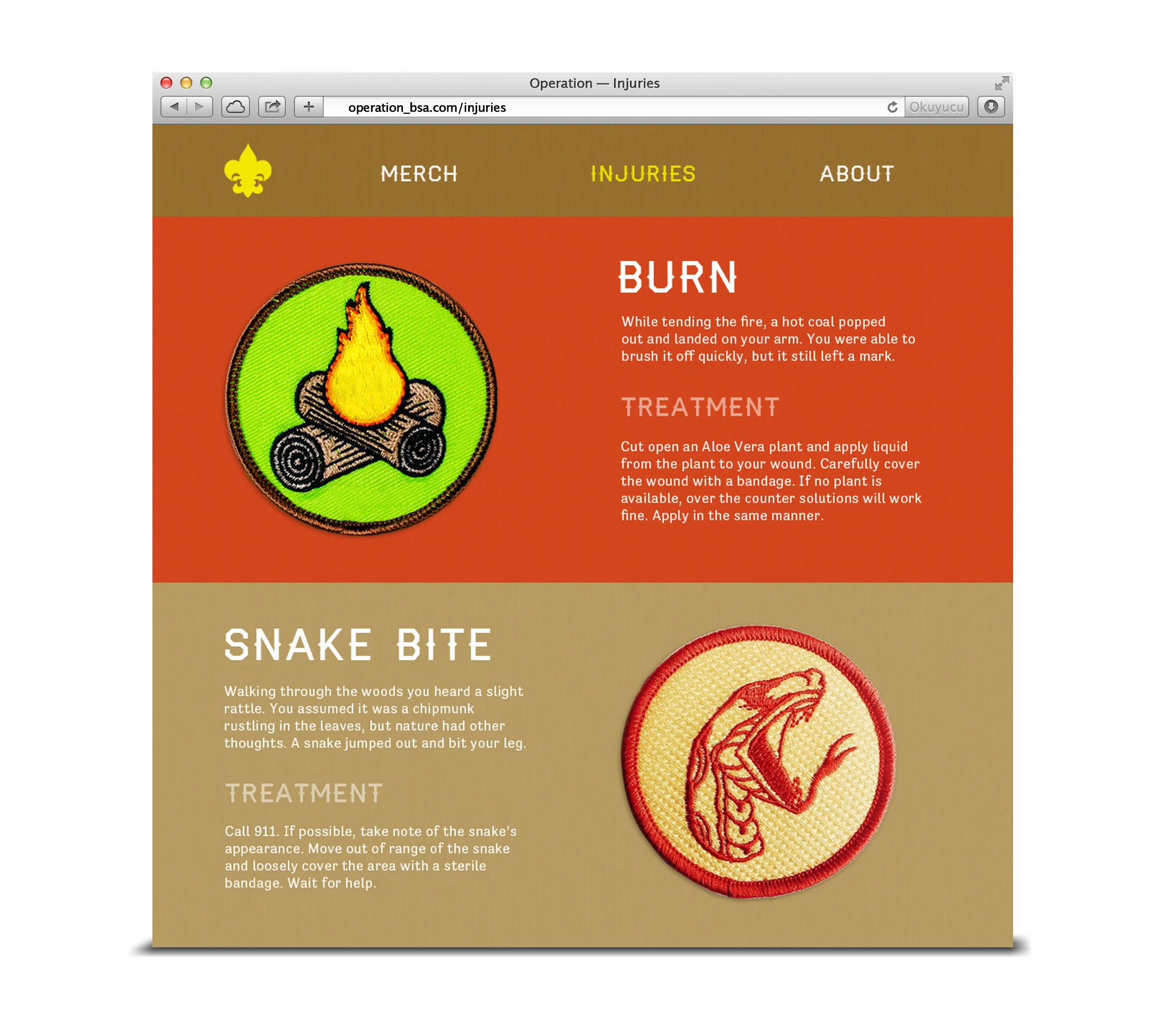 browser.jpg