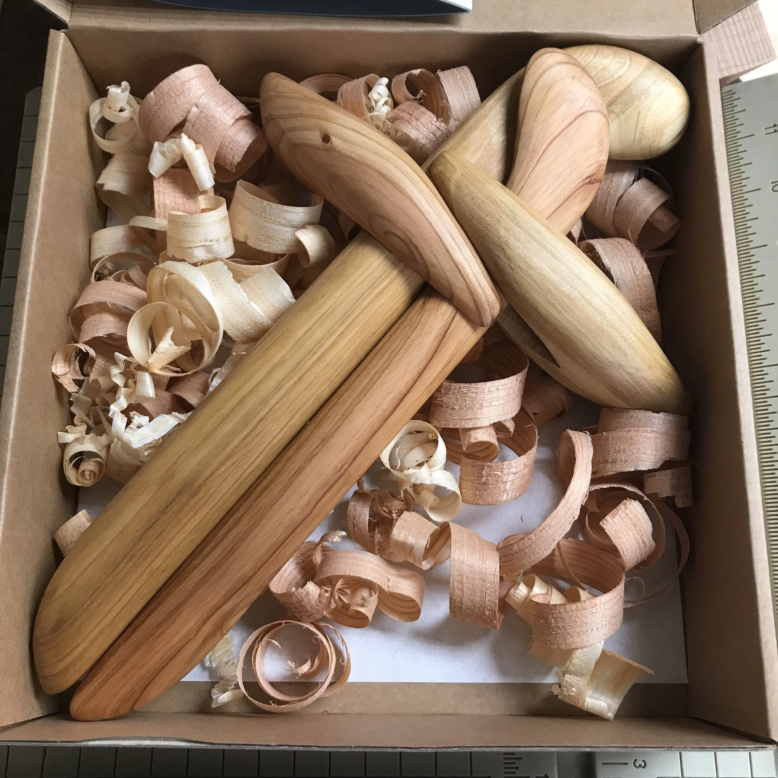 AB23E732-70F8-48A4-AC58-DA57AB19C4CB