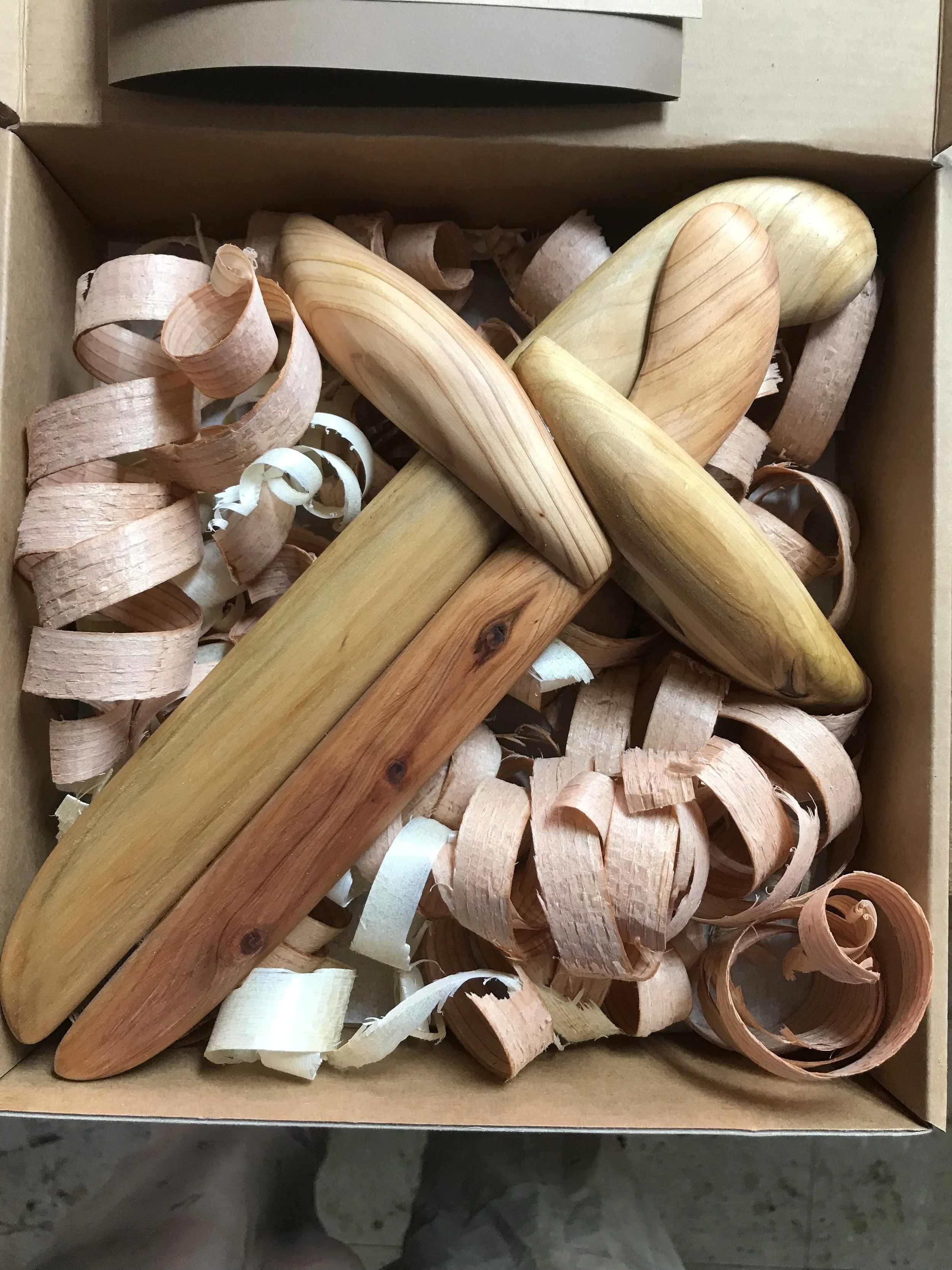 48AB0D99-7049-4284-995F-97219BCCCB4D