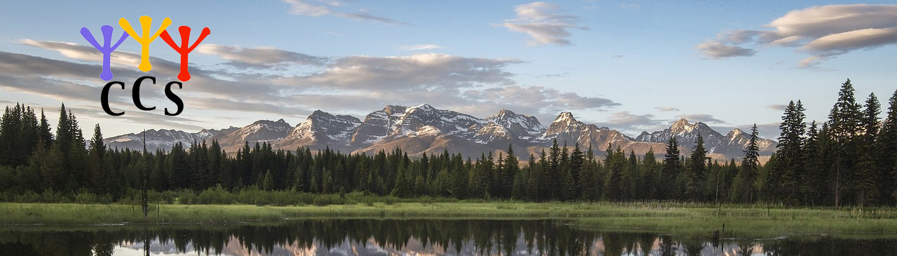 ccs-banner2.jpg