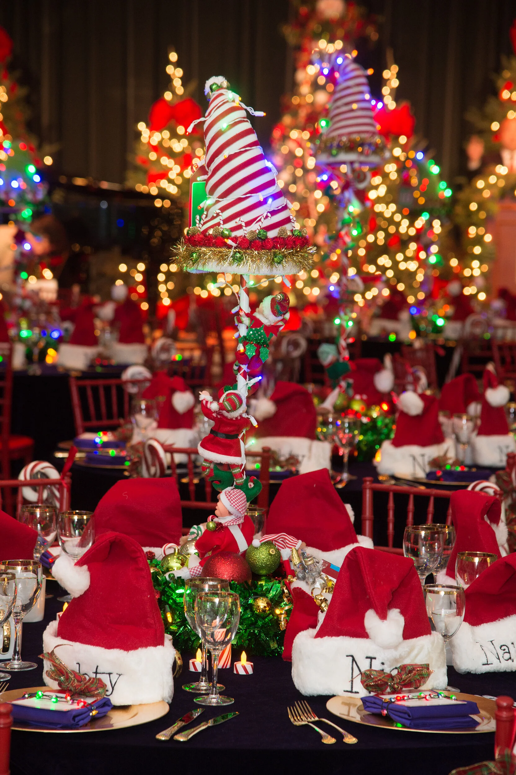 COMMUNITY EVENT PHOTOGRAPHY — ALEX CLANEY PHOTOGRAPHY