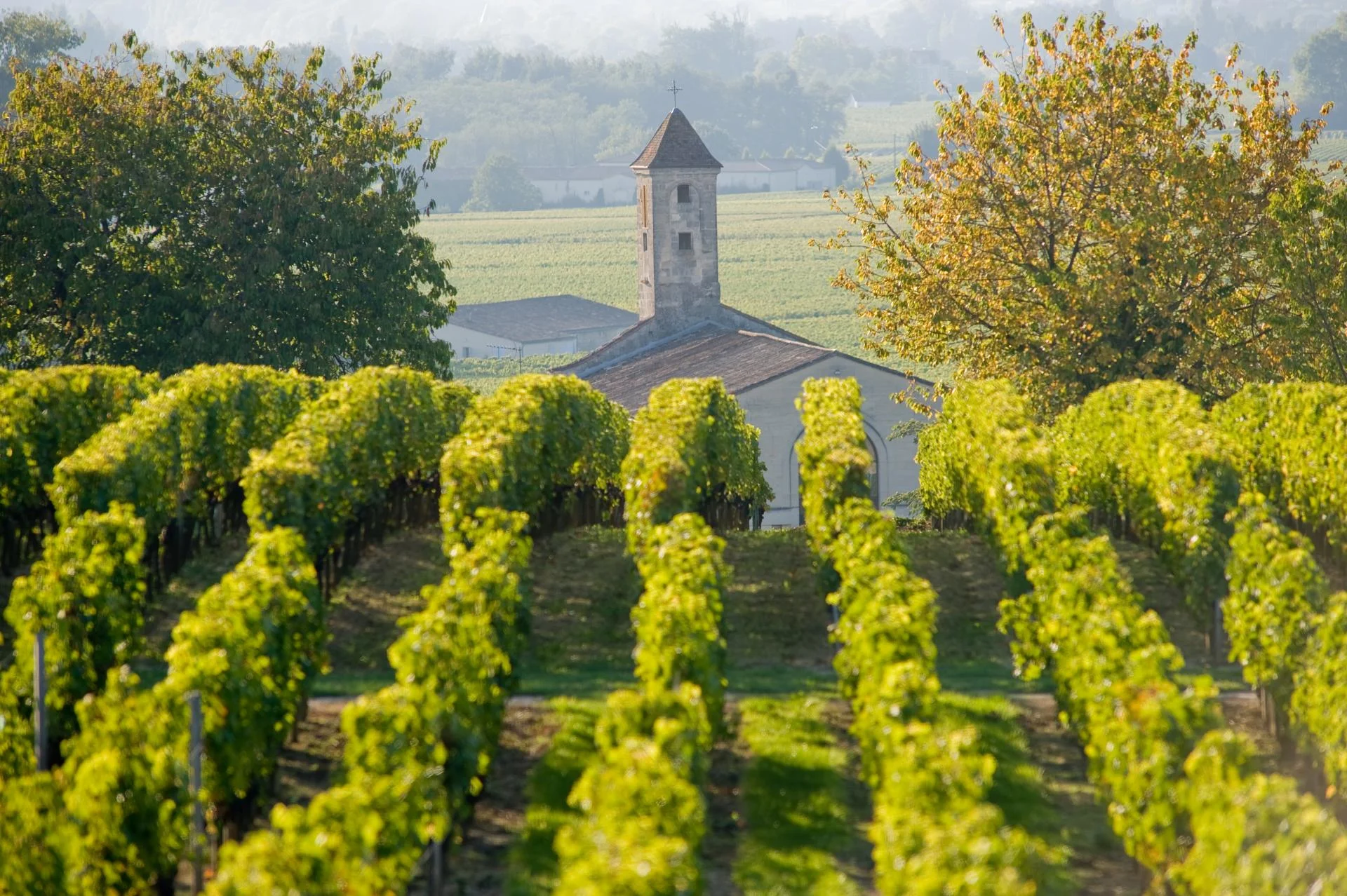 Bordeaux - CDT Gironde.jpg