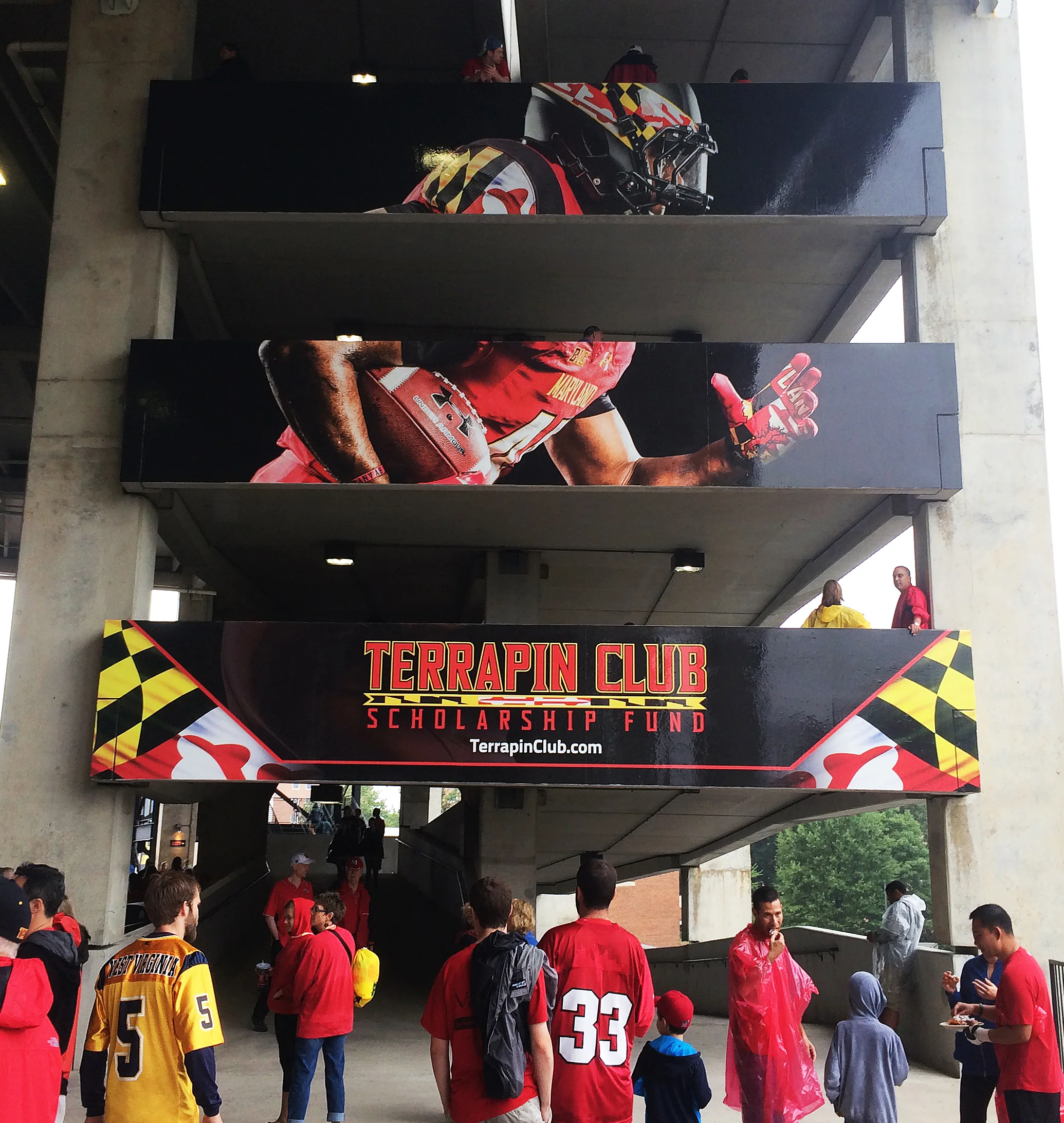 univeristy-of-maryland-textured-surface-wall-graphic-dd-lg copy.jpg