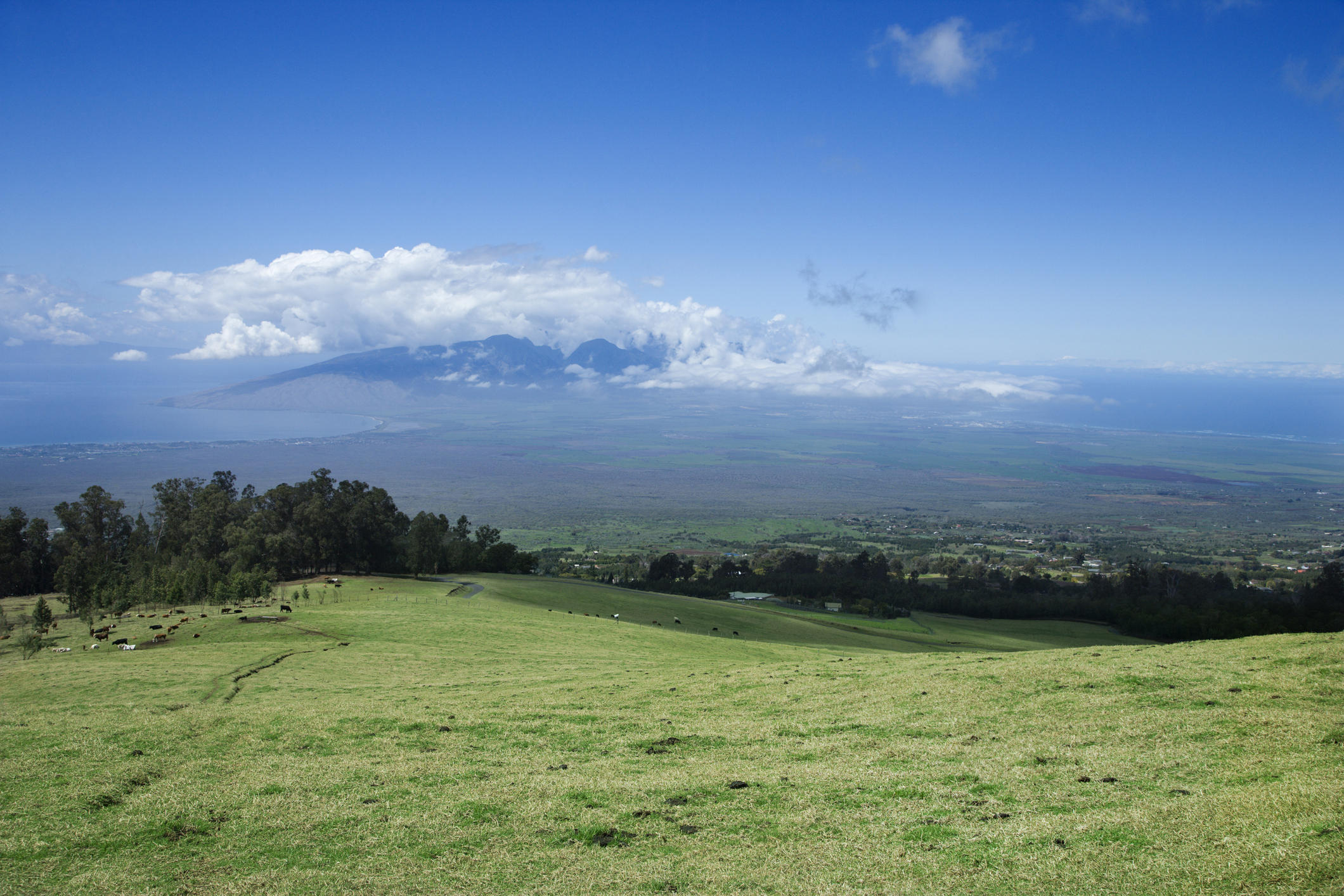 upcountry-massage-company-makawao-maui.jpg