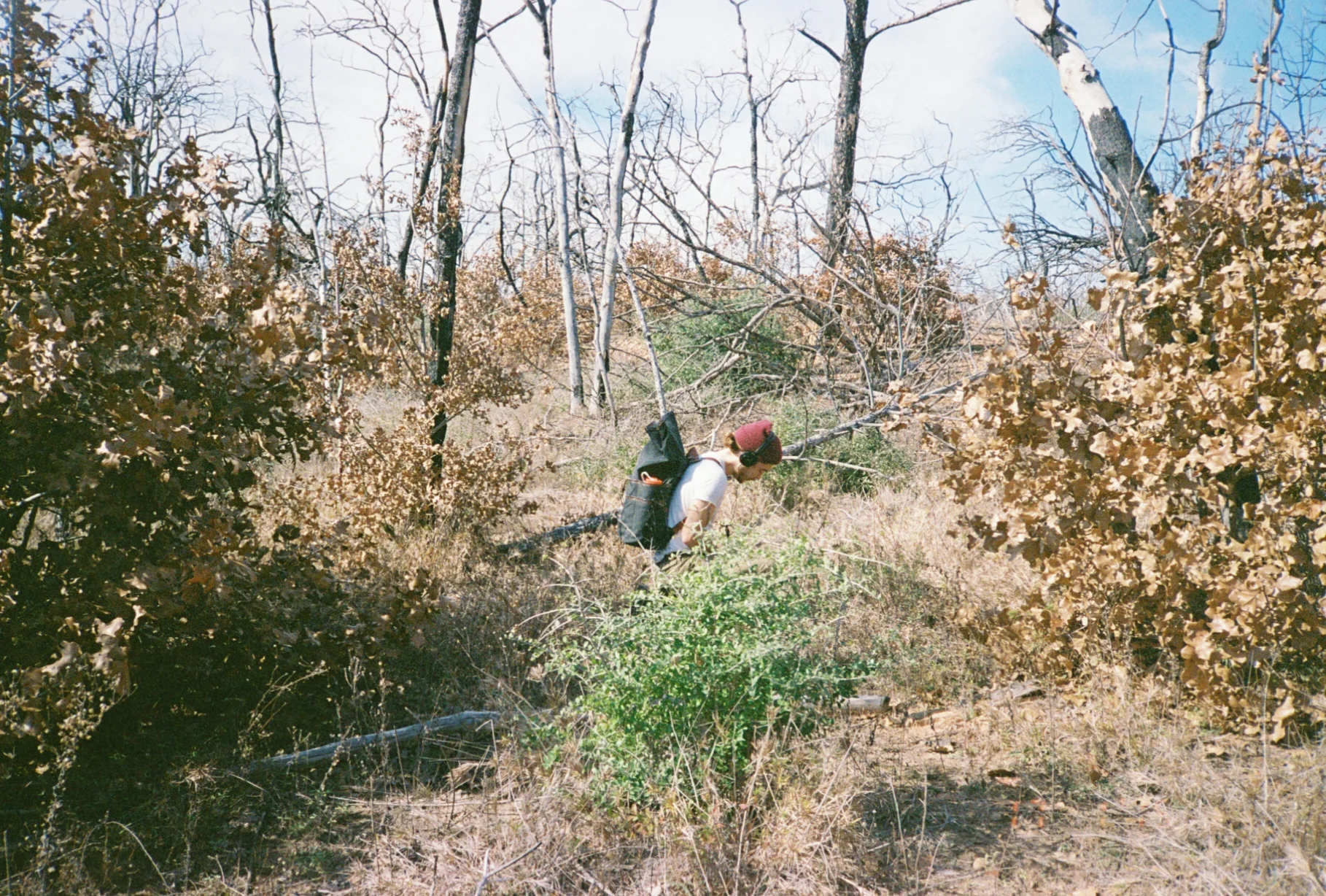 0007290_0007290-R1-016-6A.jpg