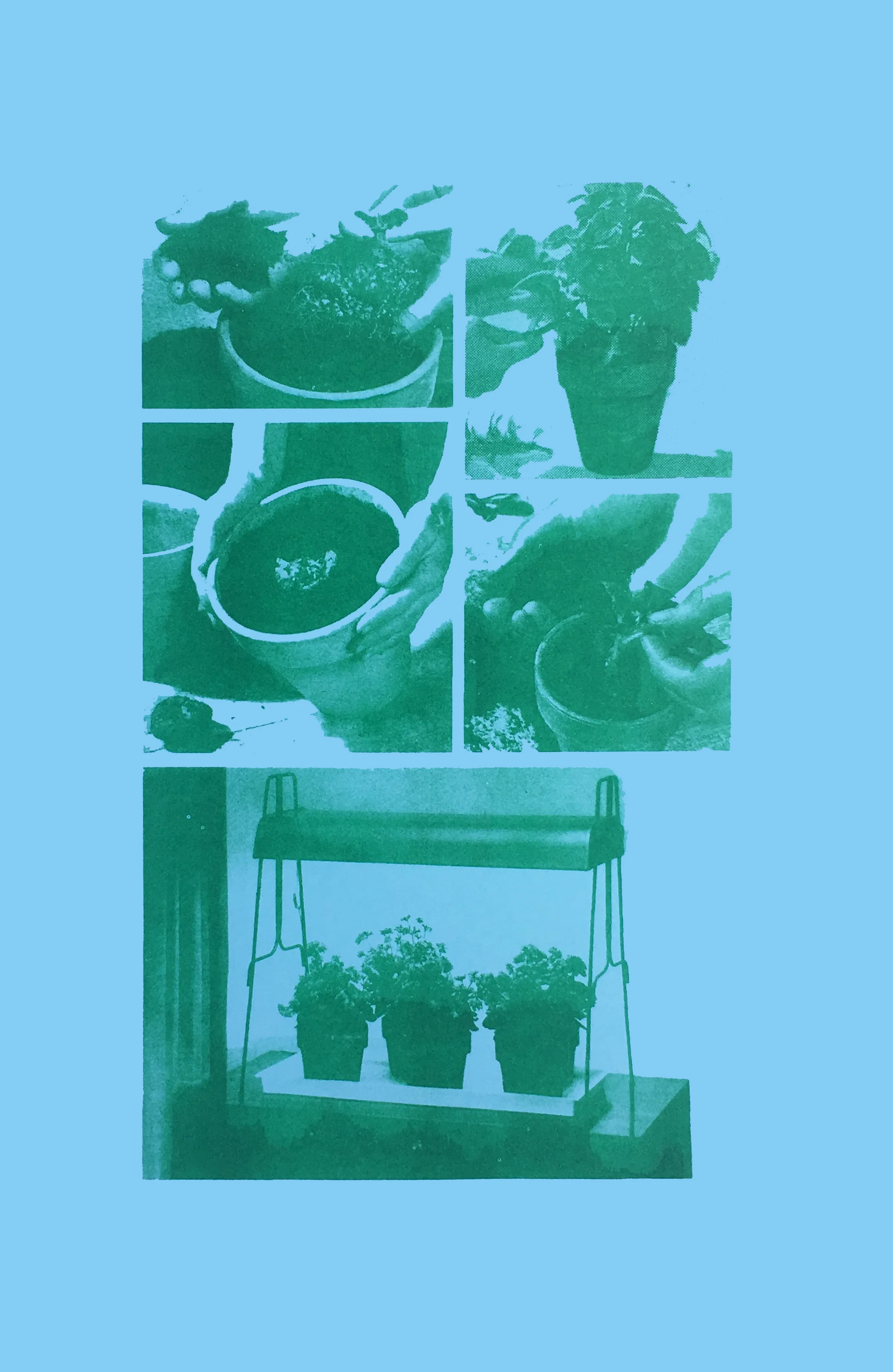 print-tbv.jpg
