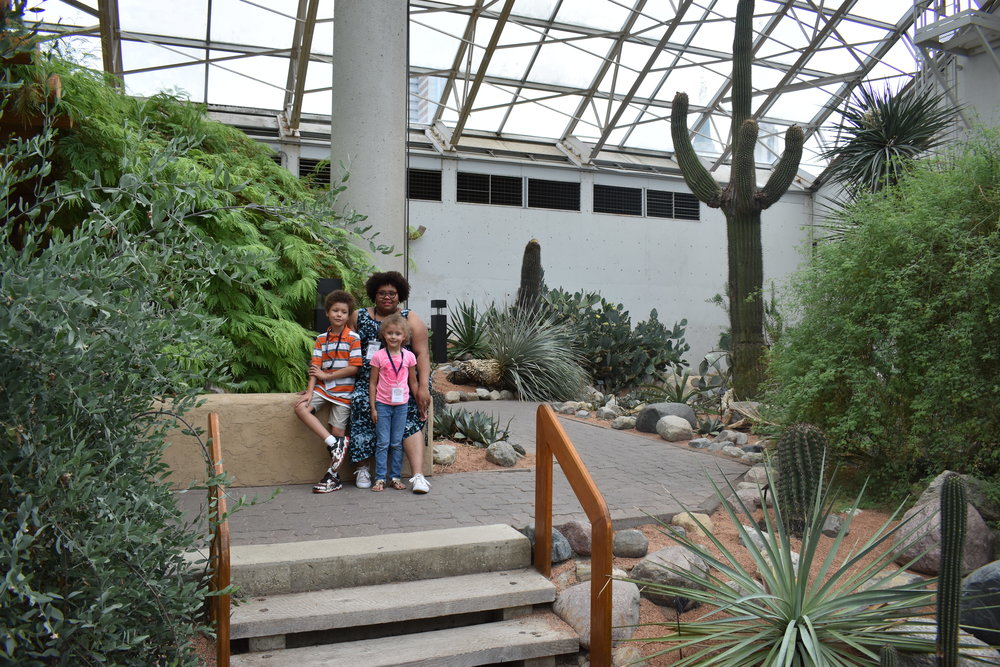 Botanical Conservatory Desert Garden in Fort Wayne
