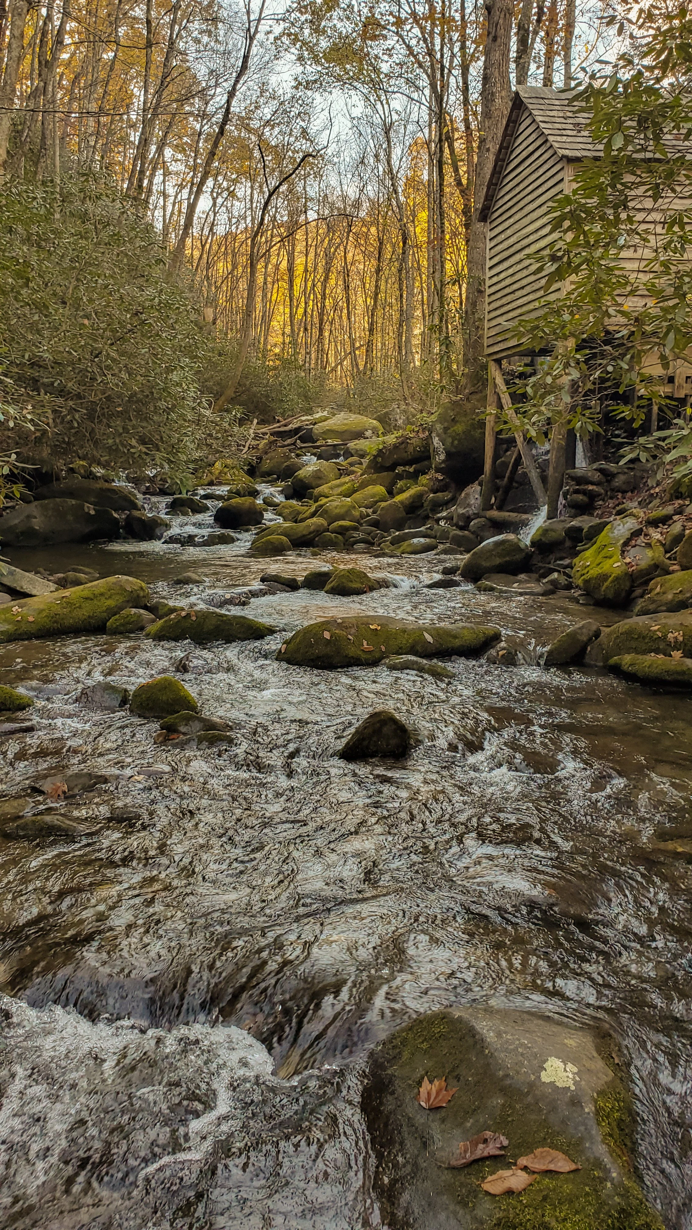 Midwest Fall Family Outings Ideas