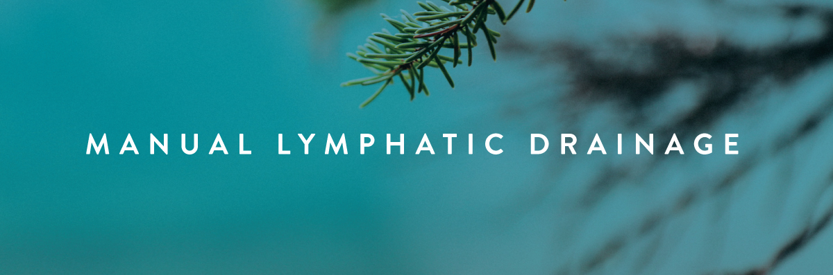 Manual_Lymphatic-_Drainage-Seattle.jpg