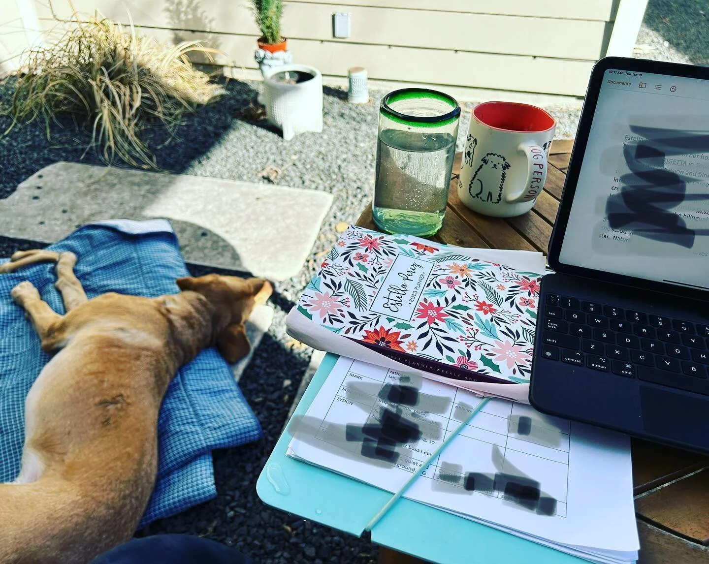 We are at it again💖 diving into and breaking down another script!!.#bookedit  #🎭 
#🙏🏽 Well, at least I am. 🐾 #puppynaps 
#actorslife #scriptwork #characters #theatre #austintx #outdooroffice #labradorretriever not retrieving at the moment.#🐕 #l
