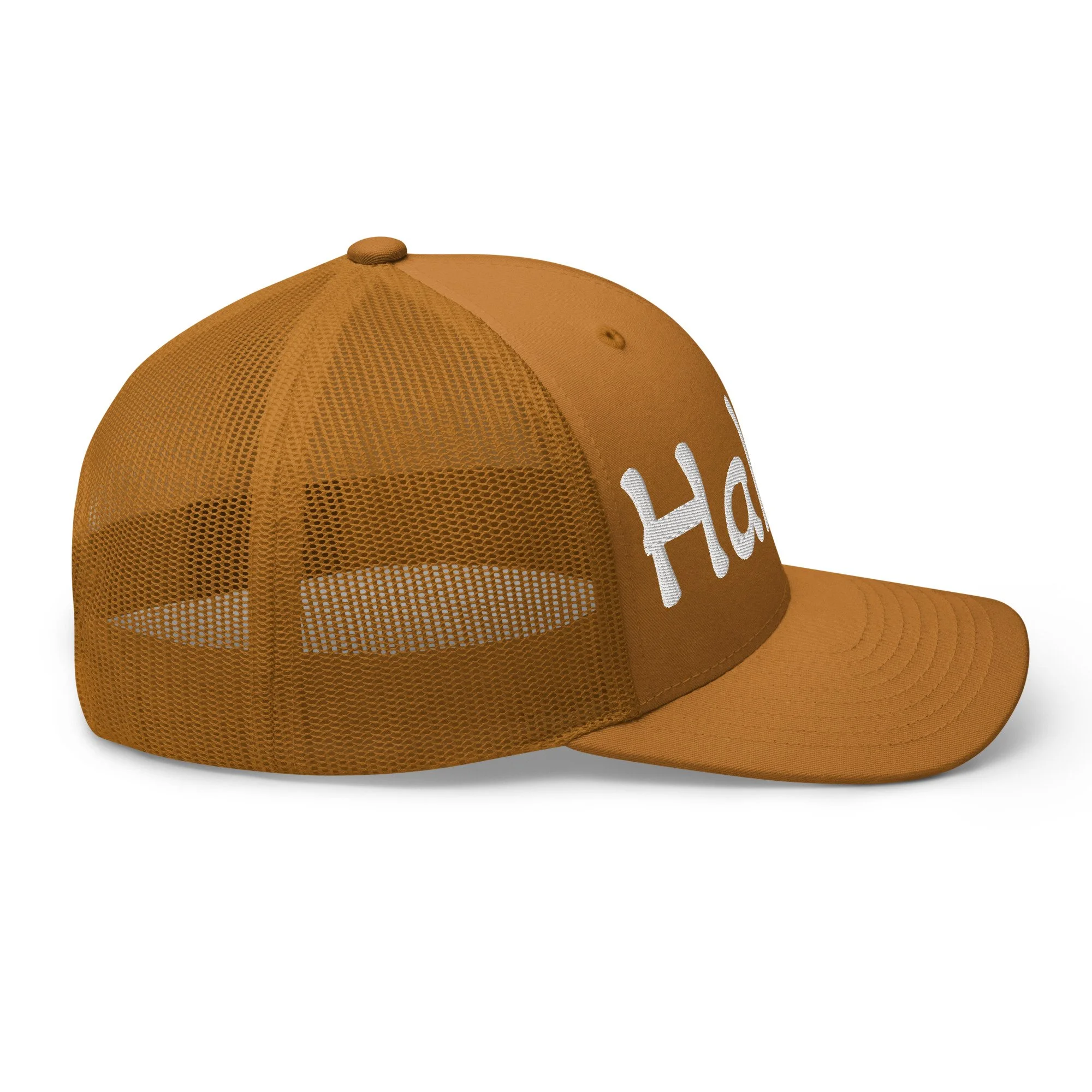 retro-trucker-hat-caramel-right-69c6d4105a68d.jpg