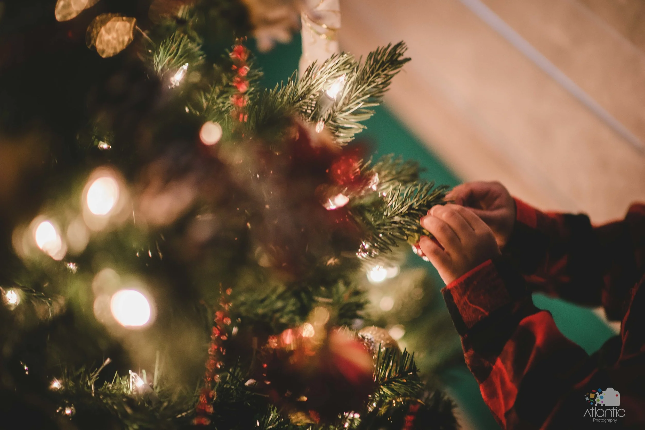 Aliah Christmas-December 17, 2016 - 5.jpg