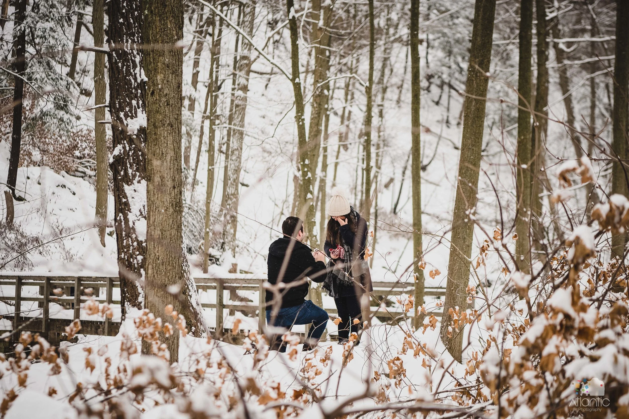 Stephanie and Alec-December 17, 2016 - 2.jpg