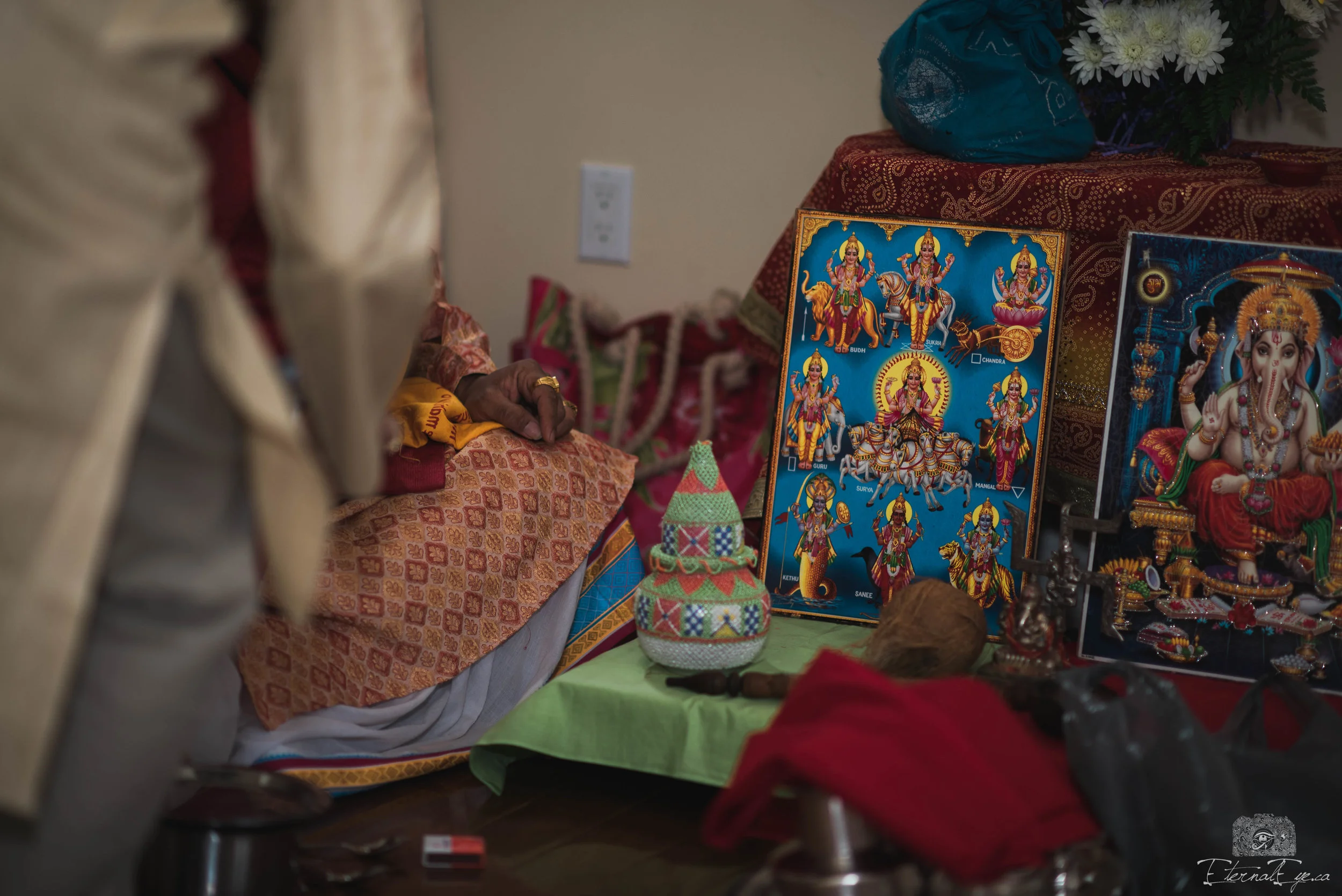 Ruchi and Abhishek-March 18, 2017 - 3.jpg