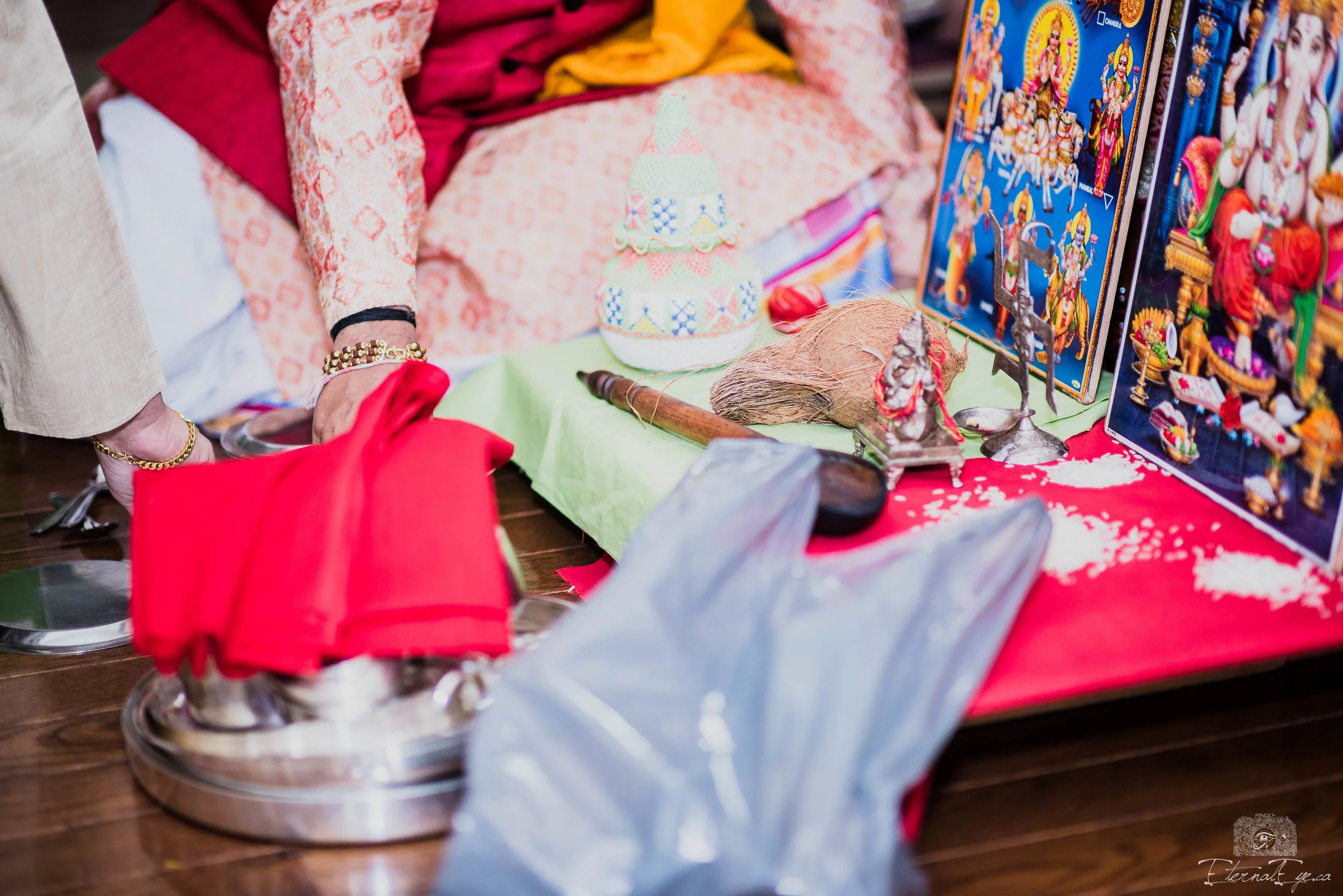 Ruchi and Abhishek-March 18, 2017 - 4.jpg