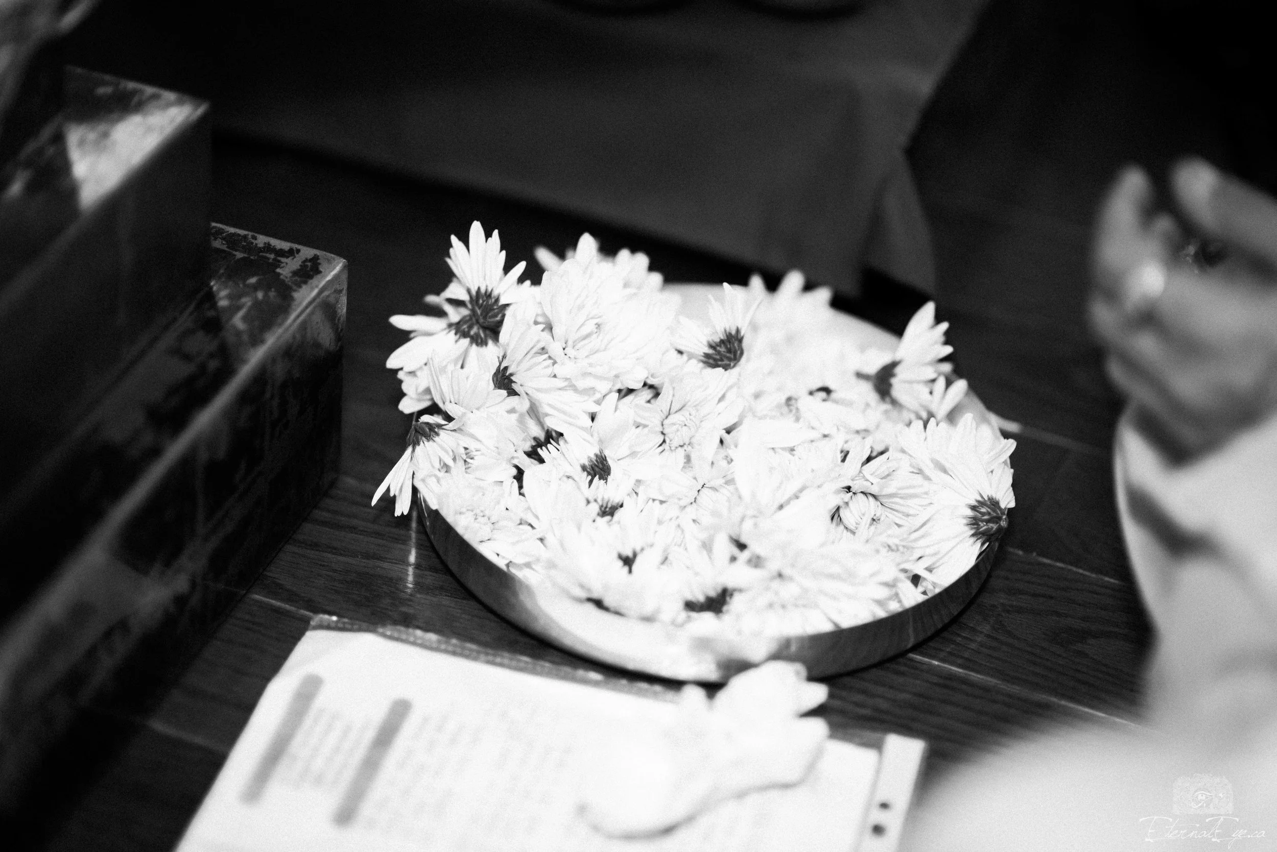Ruchi and Abhishek-March 18, 2017 - 41.jpg