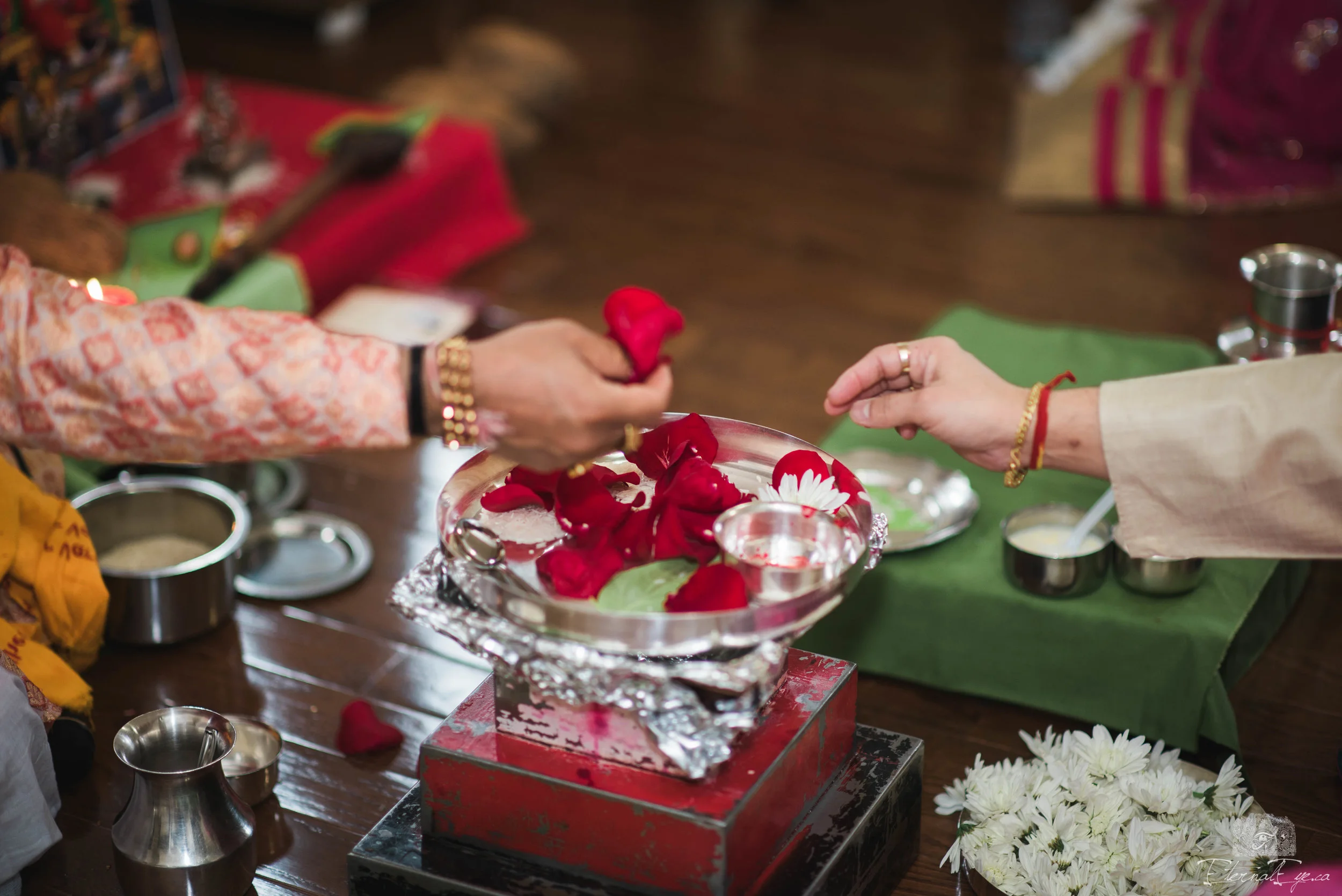 Ruchi and Abhishek-March 18, 2017 - 44.jpg