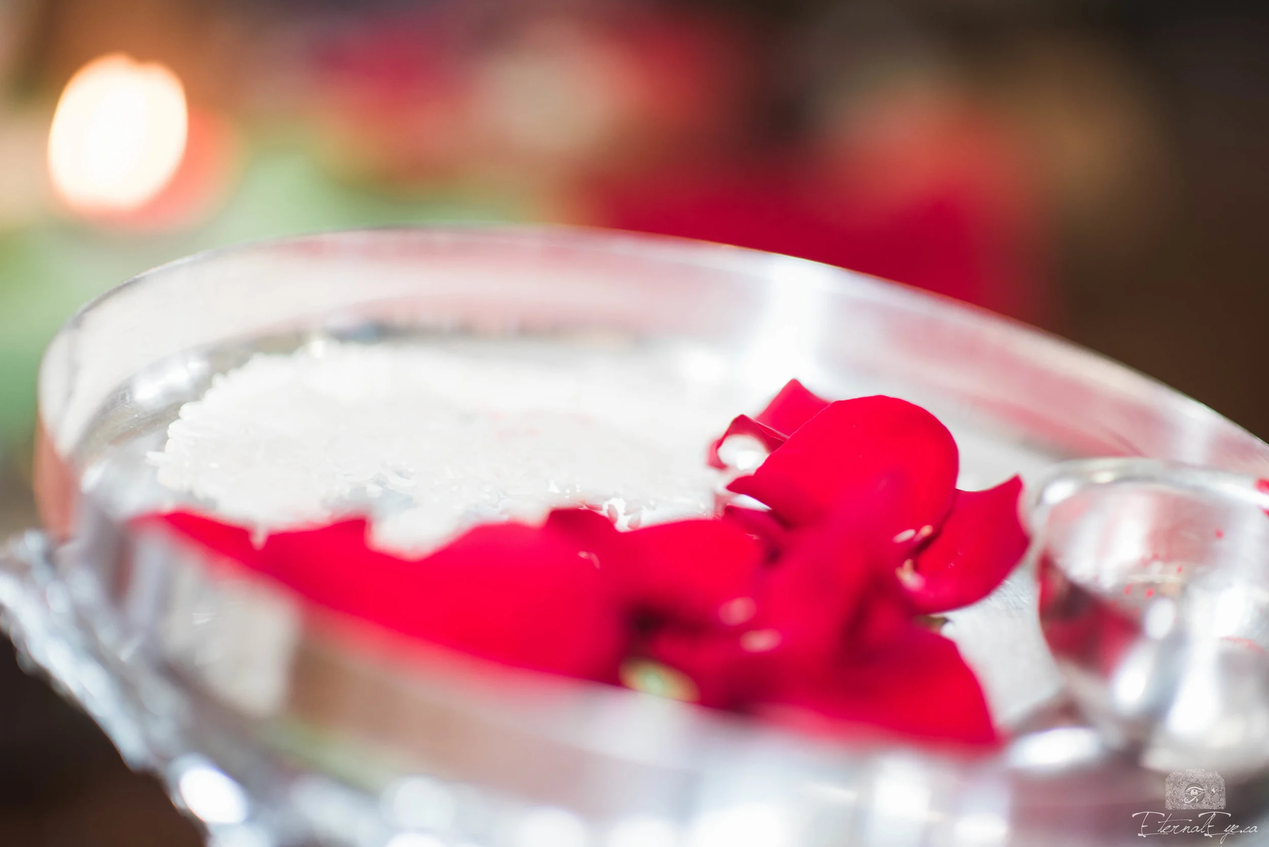 Ruchi and Abhishek-March 18, 2017 - 61.jpg