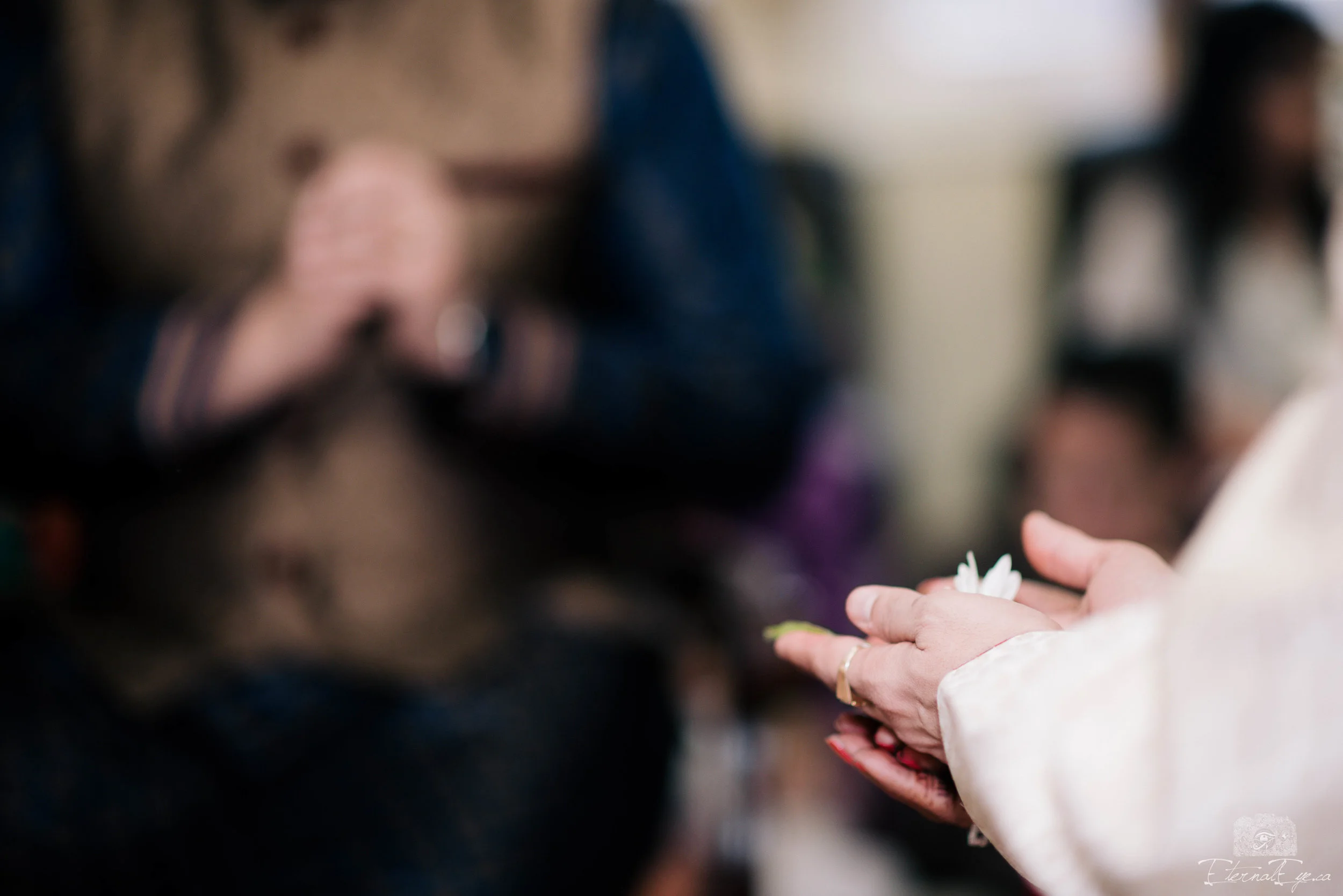 Ruchi and Abhishek-March 18, 2017 - 211.jpg