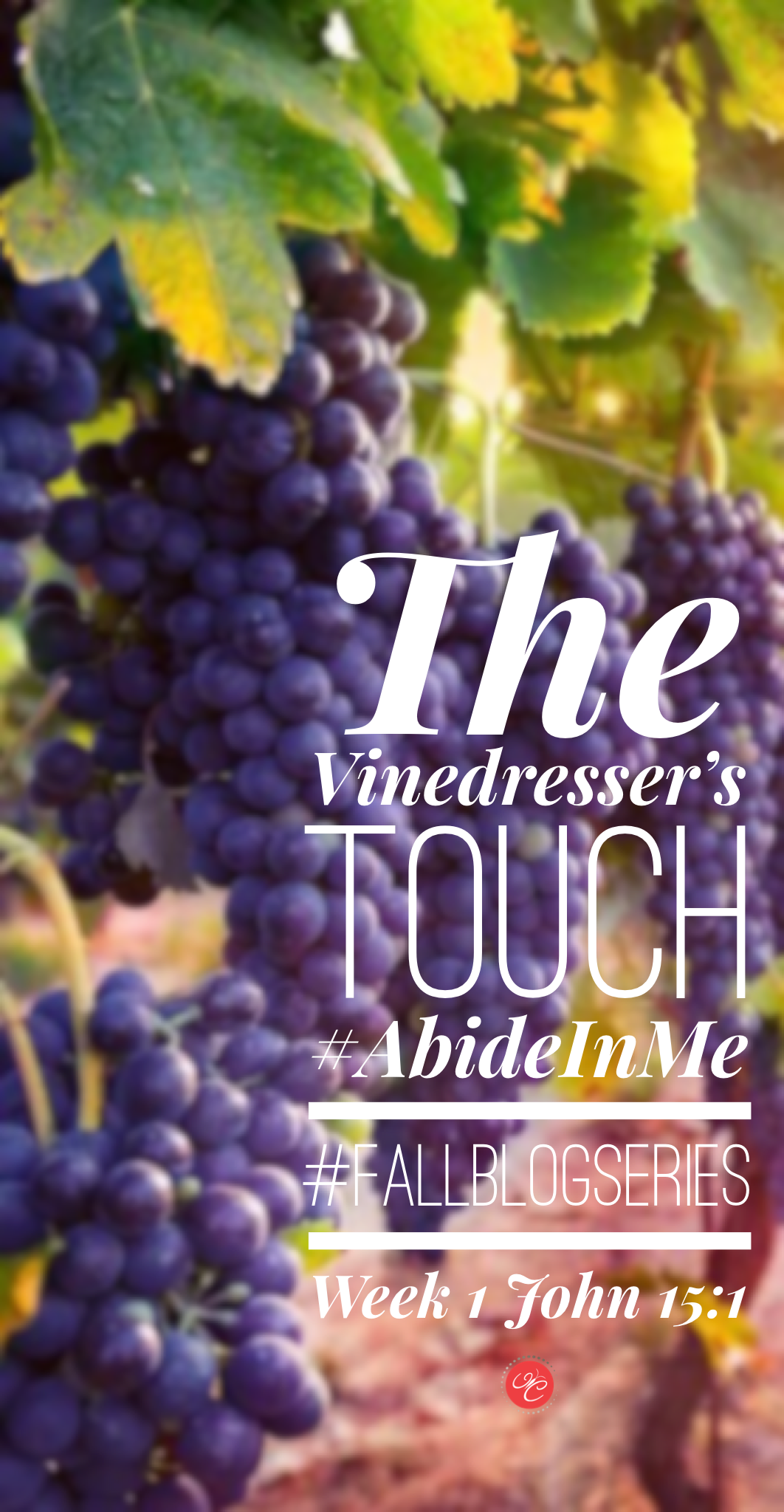 Abide In Me, John 15:1: The Vinedresser's Touch