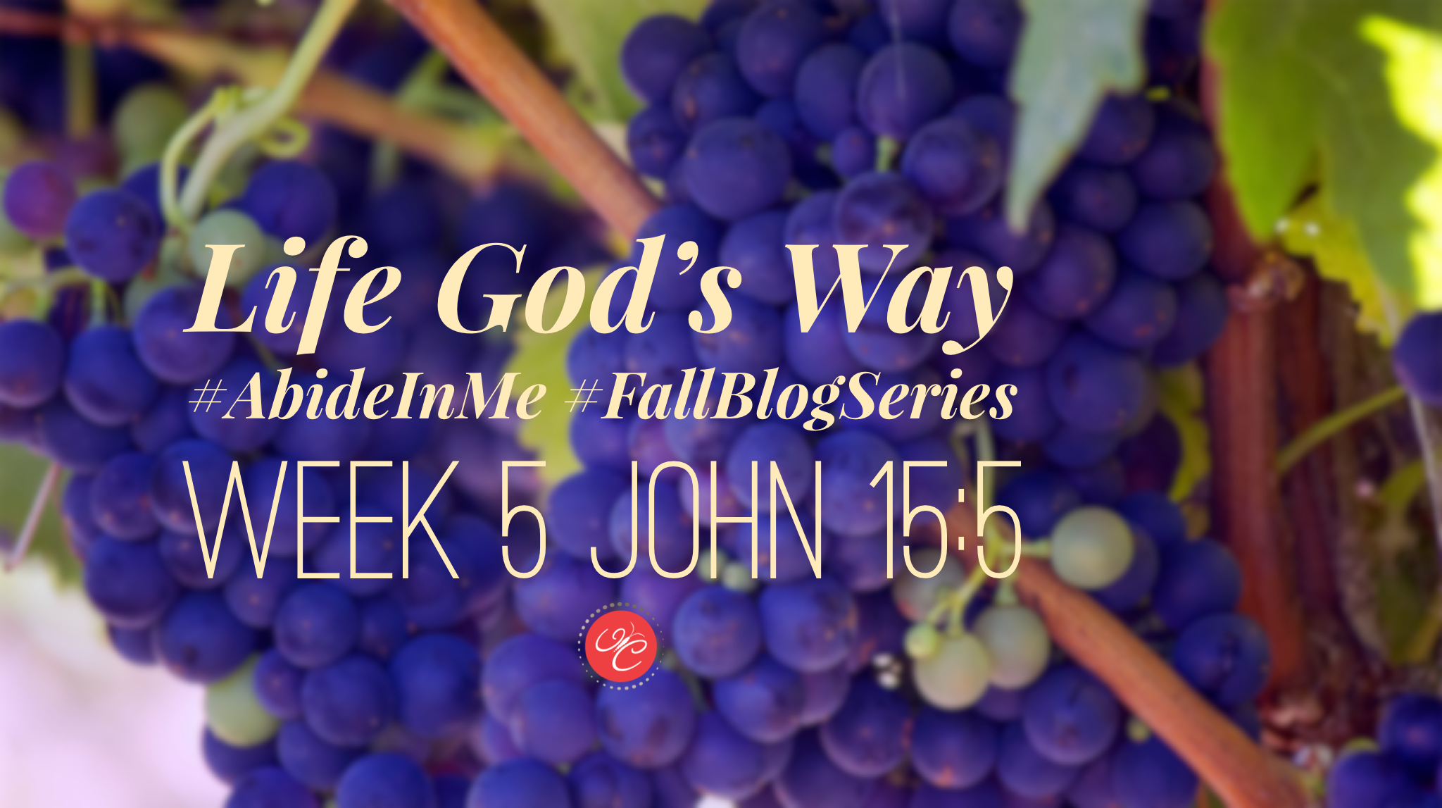 Abide In Me, John 15:5: Life God's Way