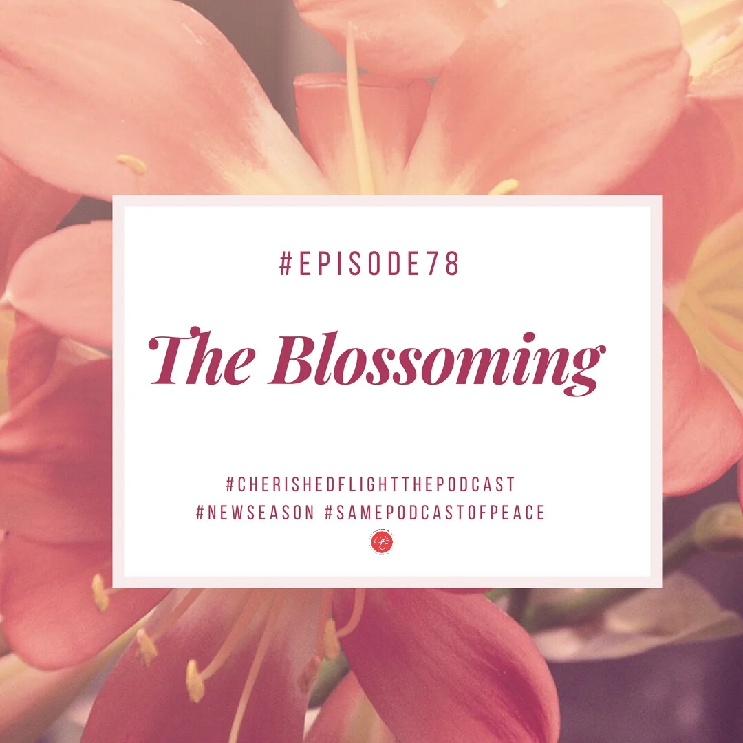 Season 3 Episode 78: The Blossoming