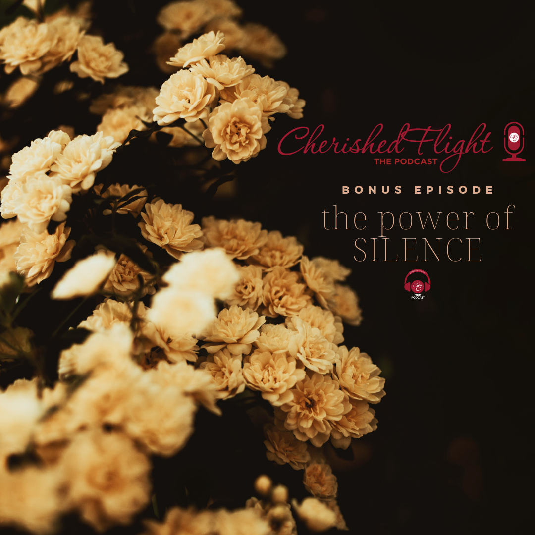 Bonue Episode: The Power of Silence