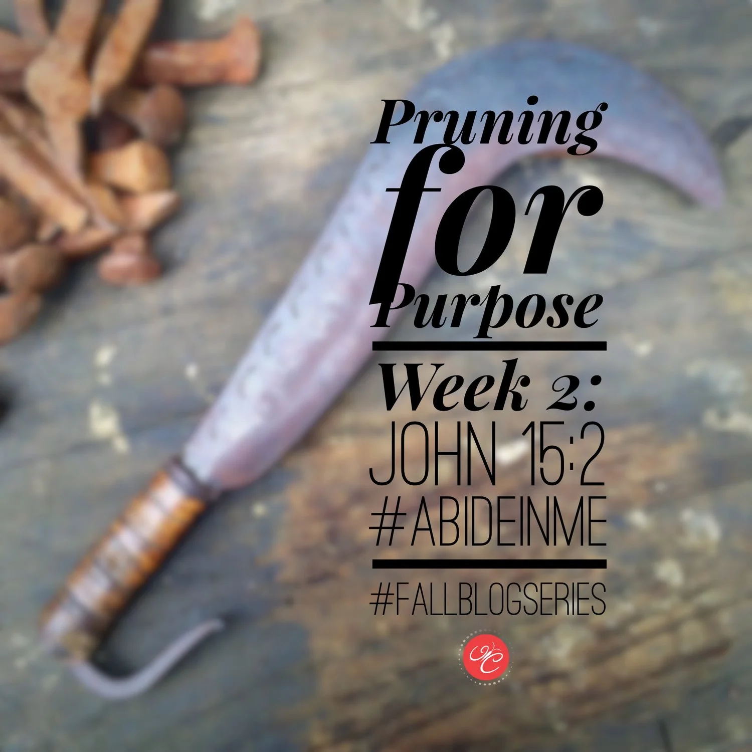 Pruning for a Purpose: John 15:2
