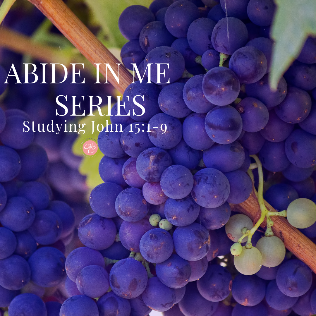 Abide In Me Blog Series