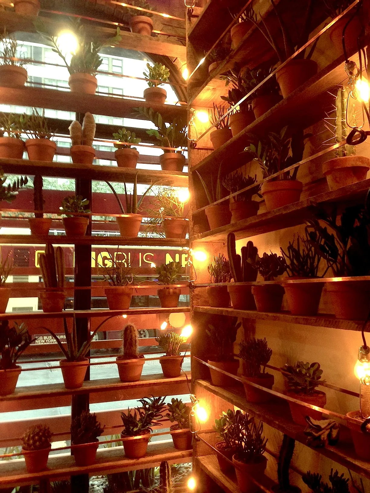 DC3 Plant Wall 2.jpg