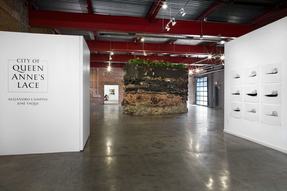Wasserman Projects / Queen Anne's Lace Exhibition Installation, 2017