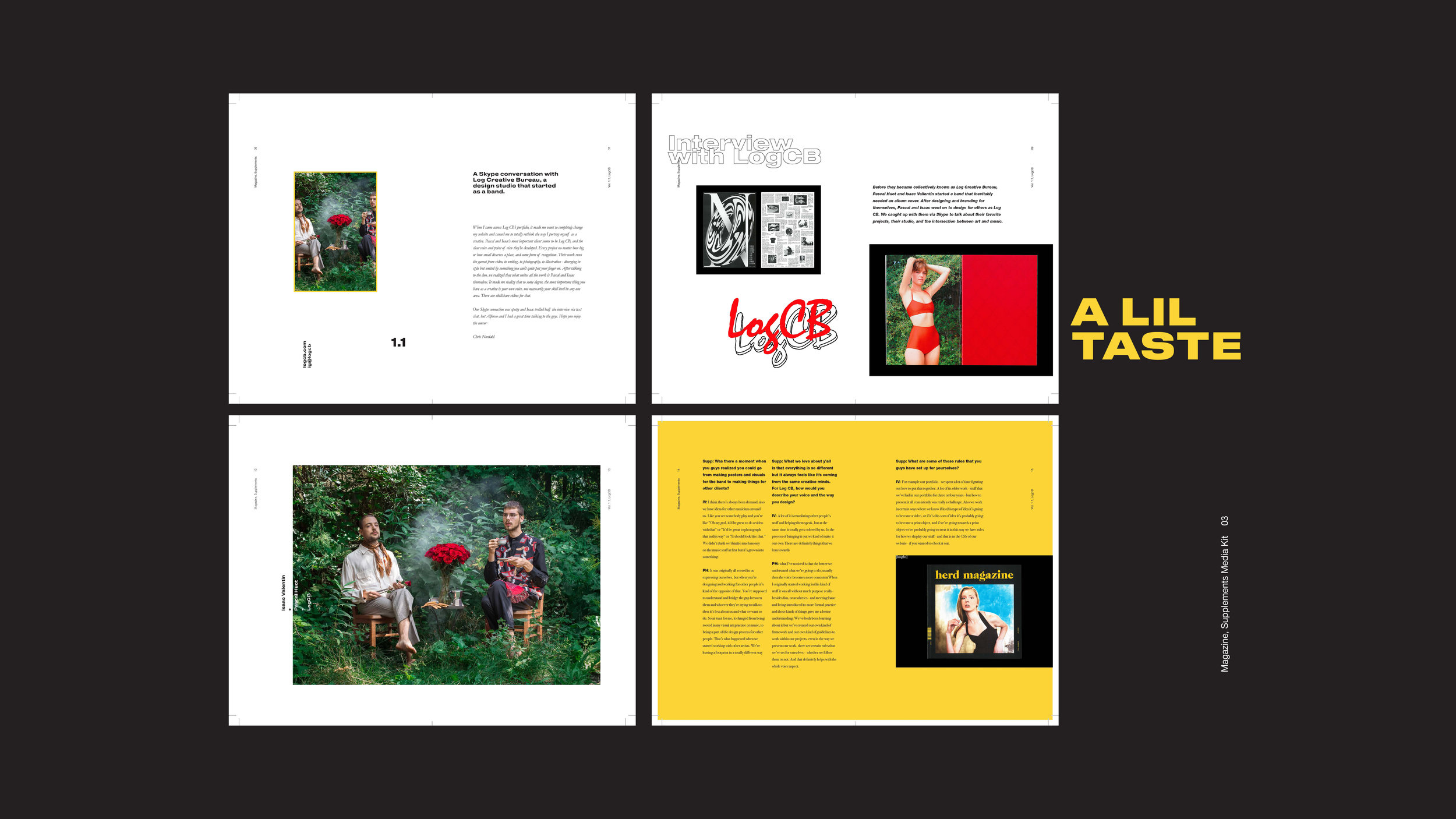 Supplements Media Kit3.jpg