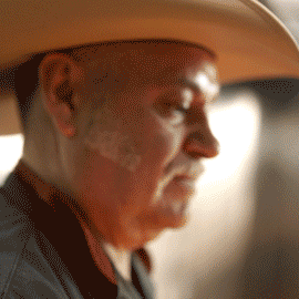 ElPolloLoco3.gif