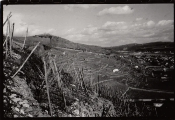 land full size.jpg