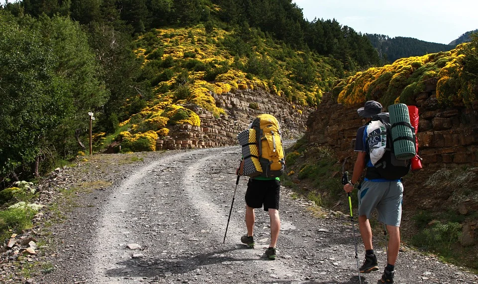 hike-892919_960_720.jpg