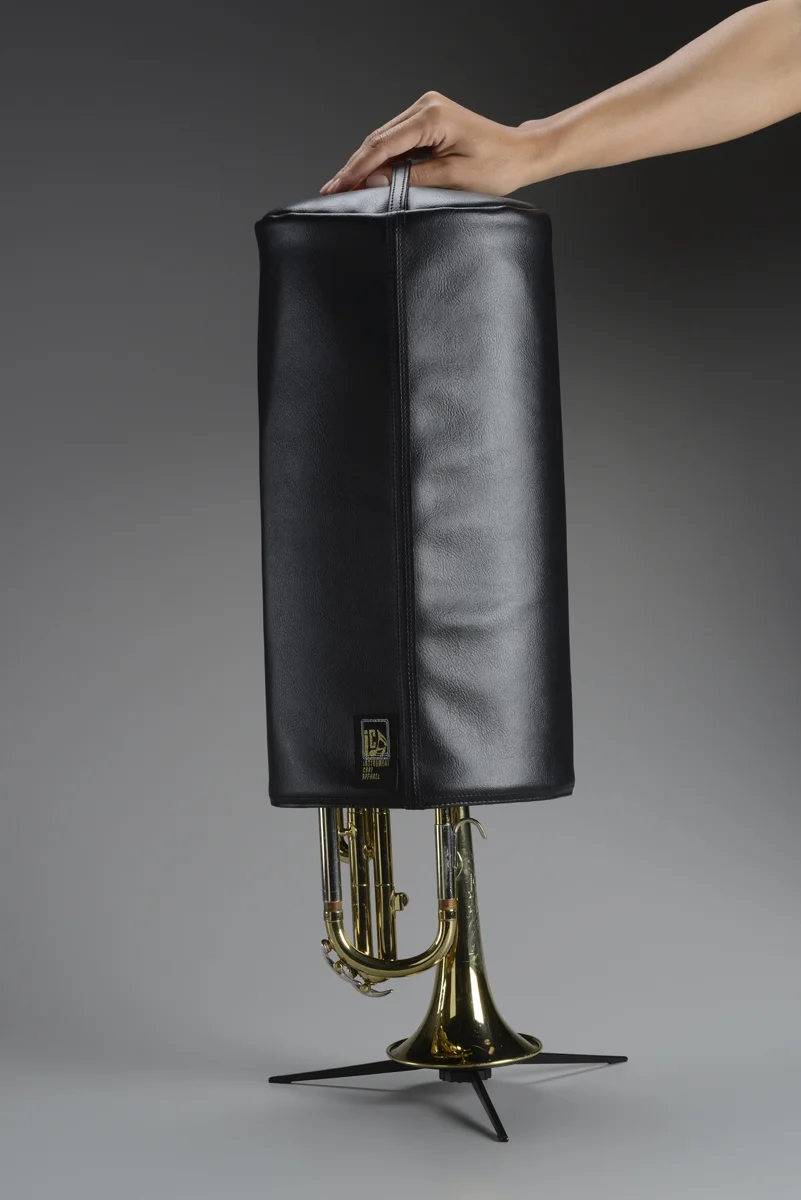 Cornet Faux Lift 9961.JPG