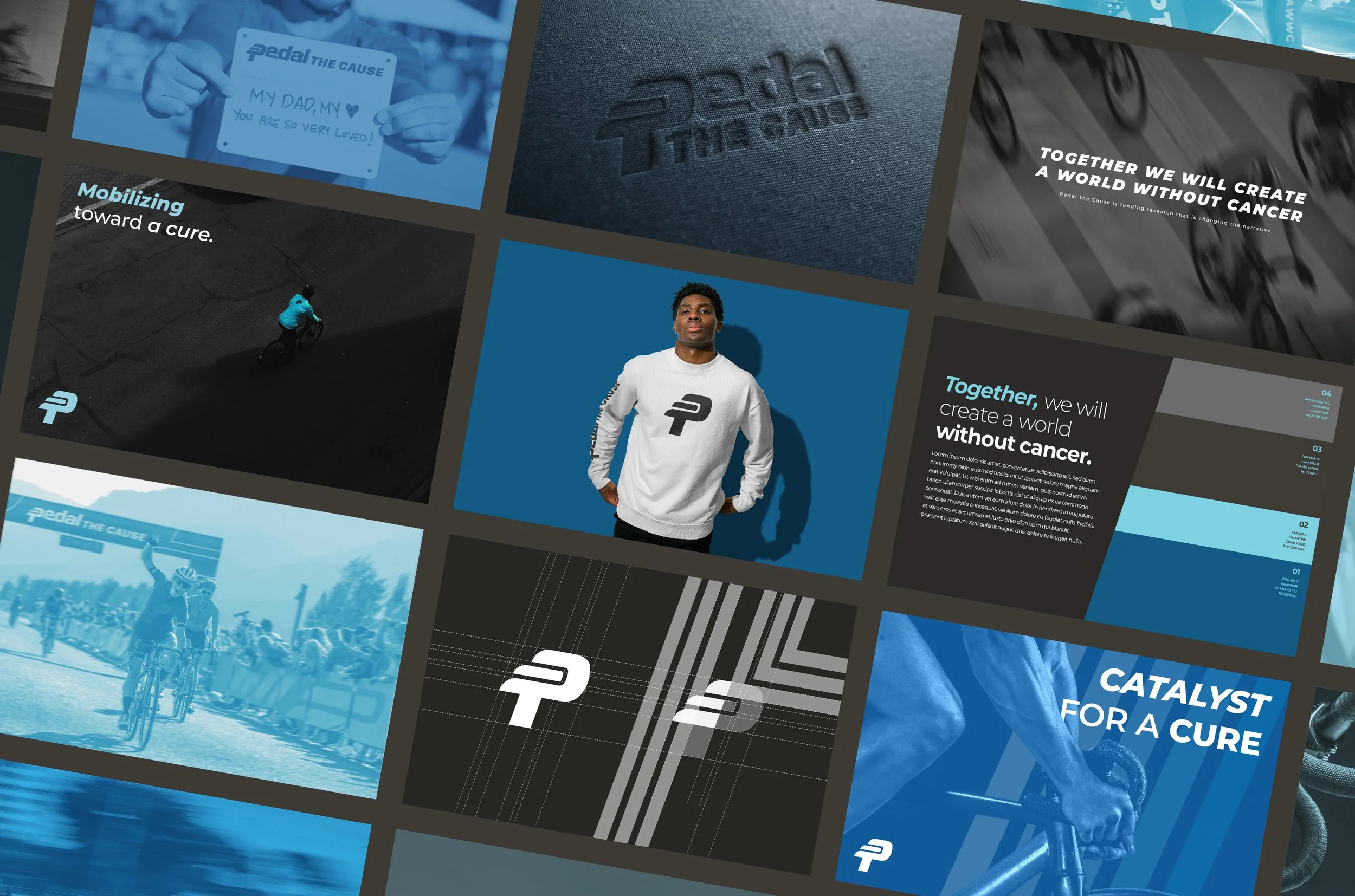 Arcturis_Pedal the Cause (1).jpg