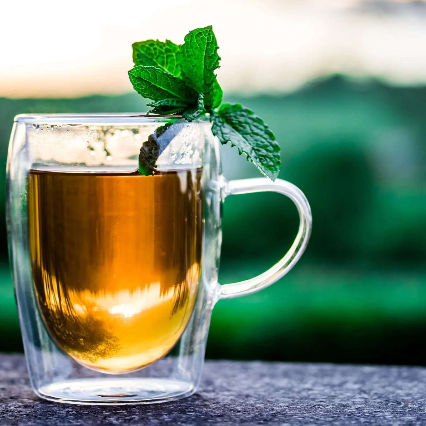 Yerba: A New Player in the Caffeine Game?