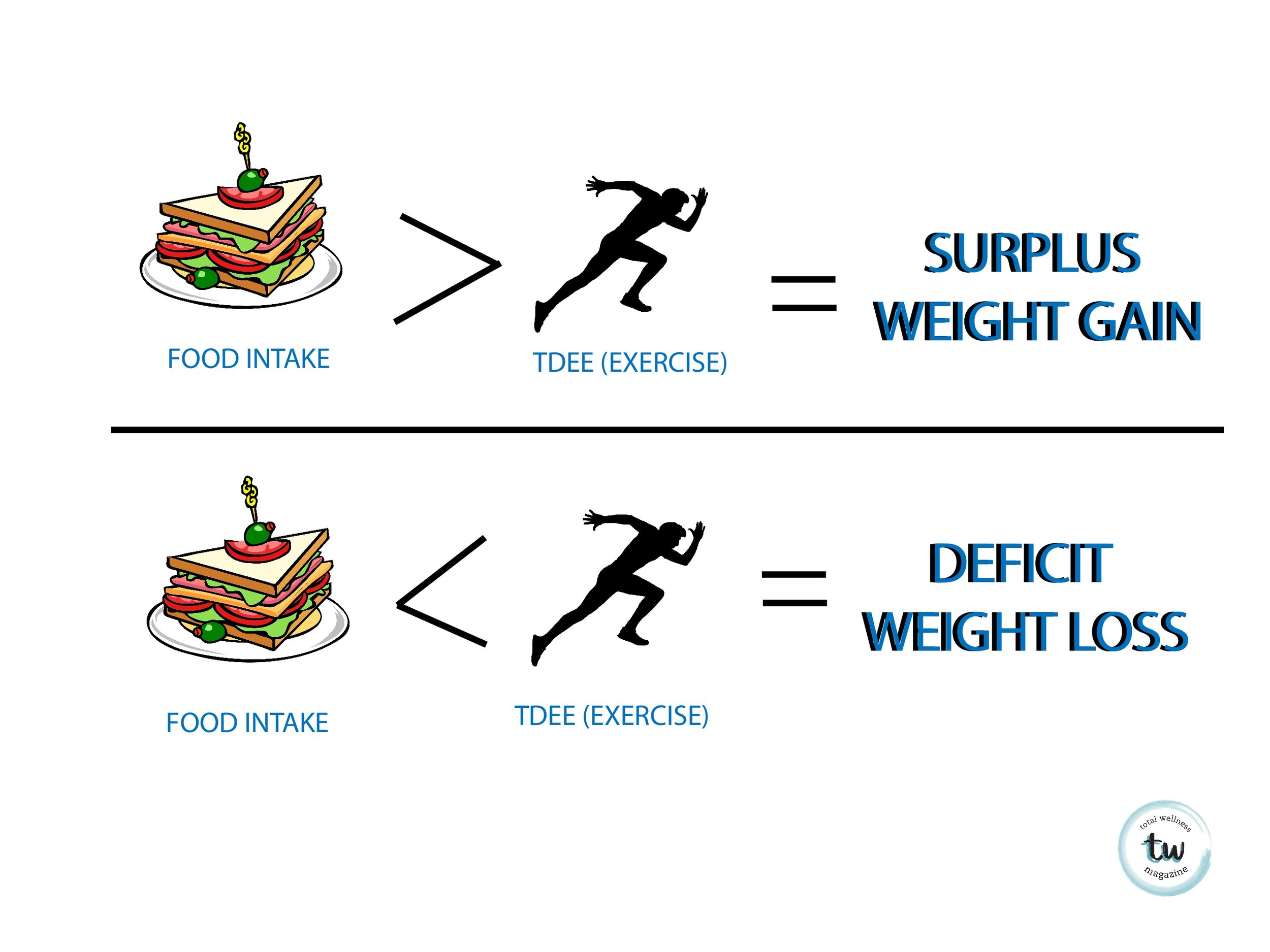 bulking and cutting fat