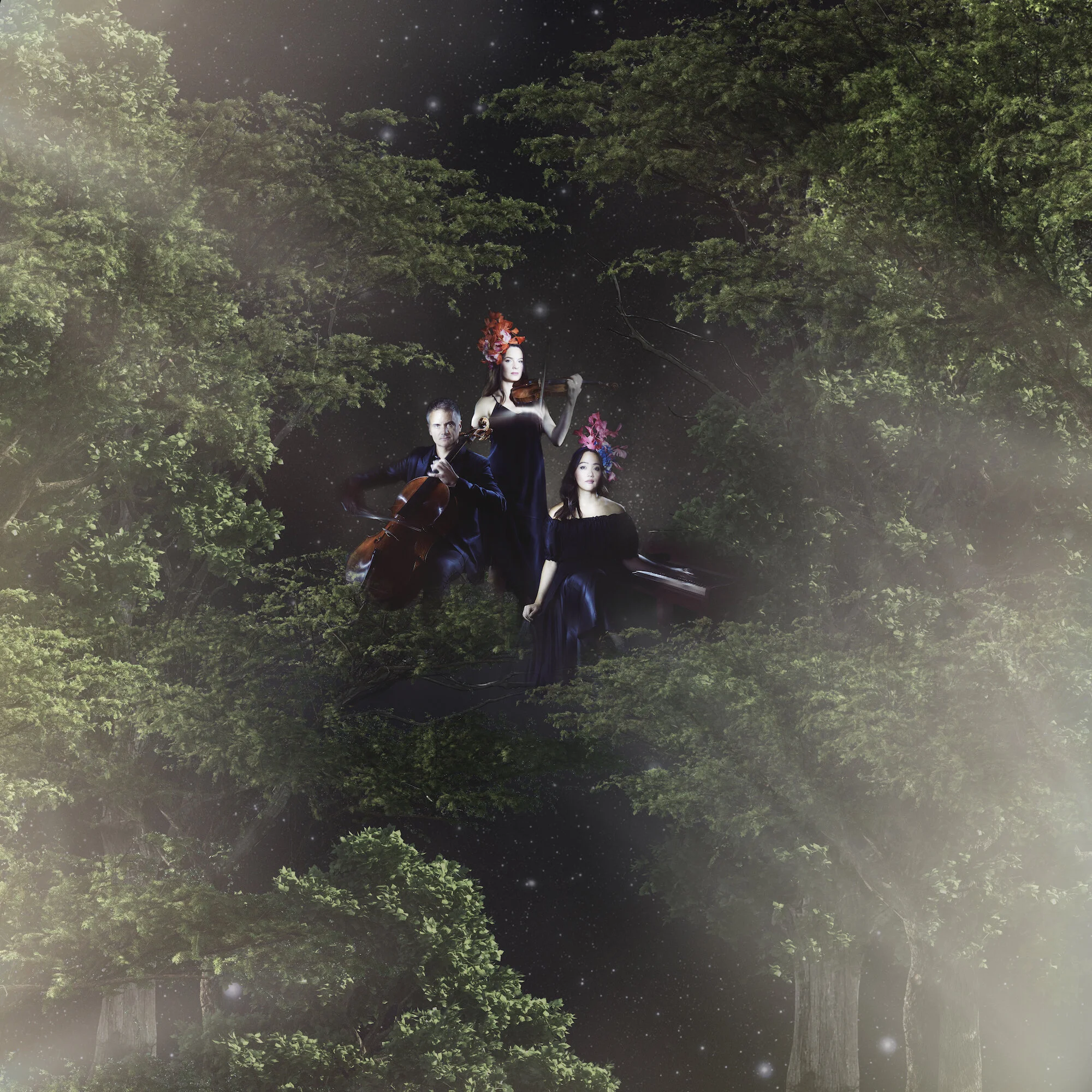 NZTrio: InterFusions