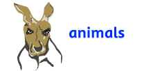 animals